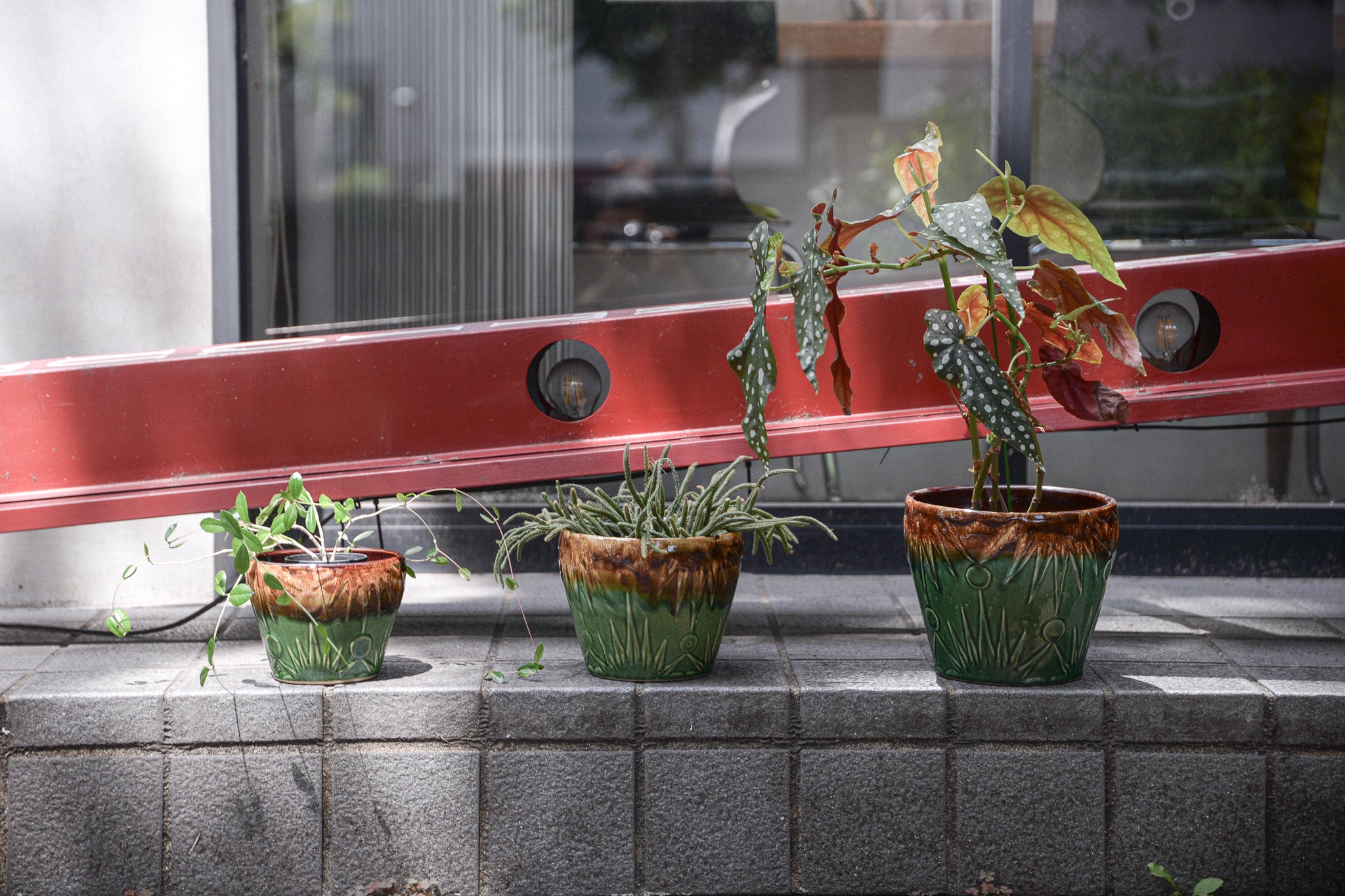 龍正   鉢 Sun & Moon Planter by RRP Co. – STORE IN FACTORY Online