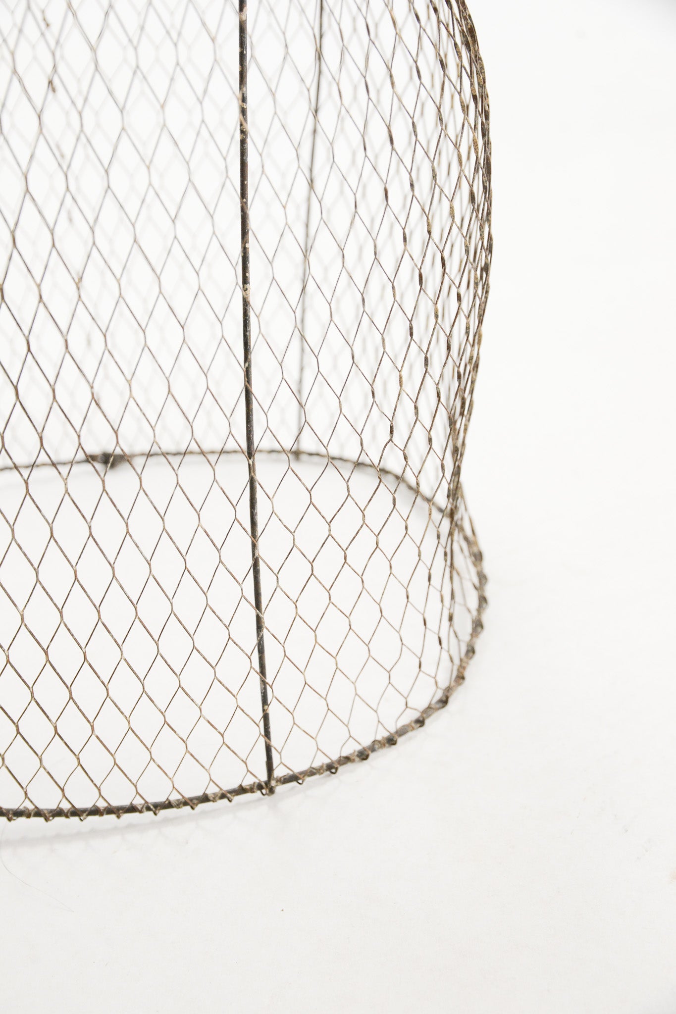 Wire Torso / ワイヤートルソー