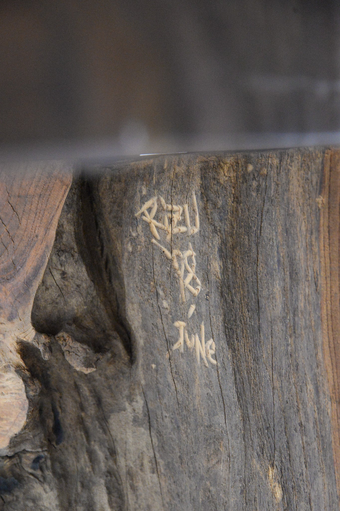 Handcrafted Live Edge Table with Sculptural Element / スカルプチュアル・ライブエッジ テーブル