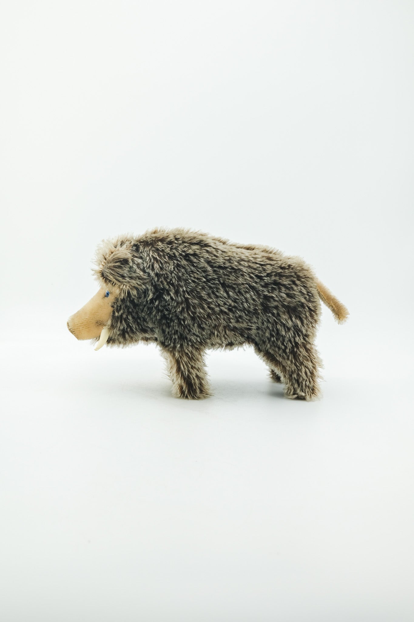 Dalle Wild Boar / シュタイフ製 イノシシのぬいぐるみ（Dalle）