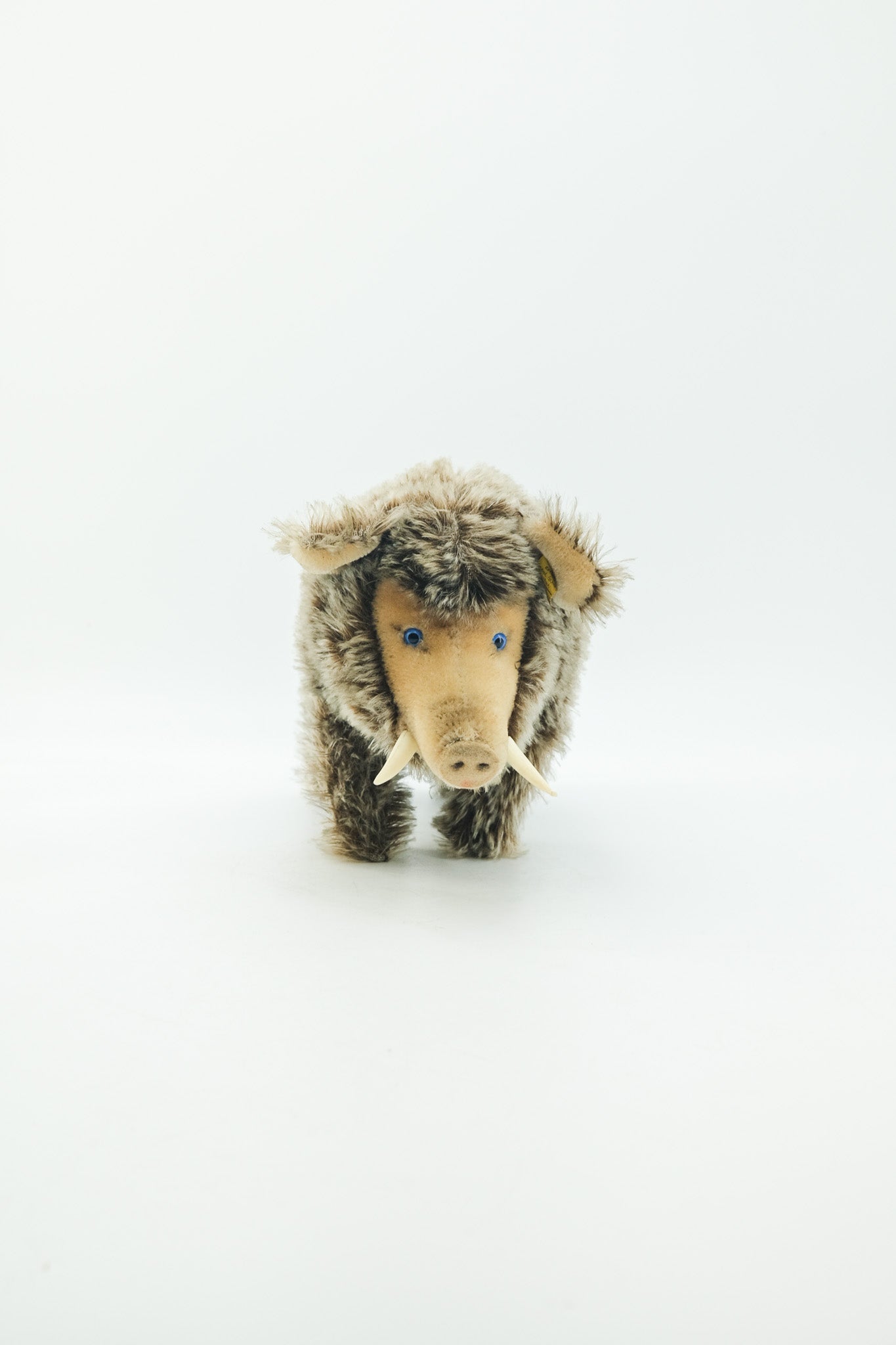 Dalle Wild Boar / シュタイフ製 イノシシのぬいぐるみ（Dalle）