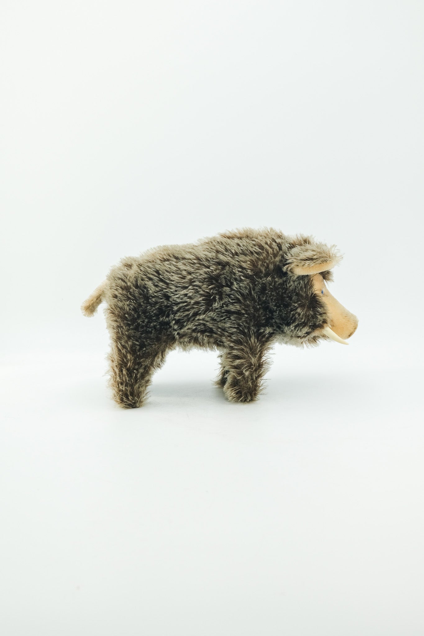 Dalle Wild Boar / シュタイフ製 イノシシのぬいぐるみ（Dalle）