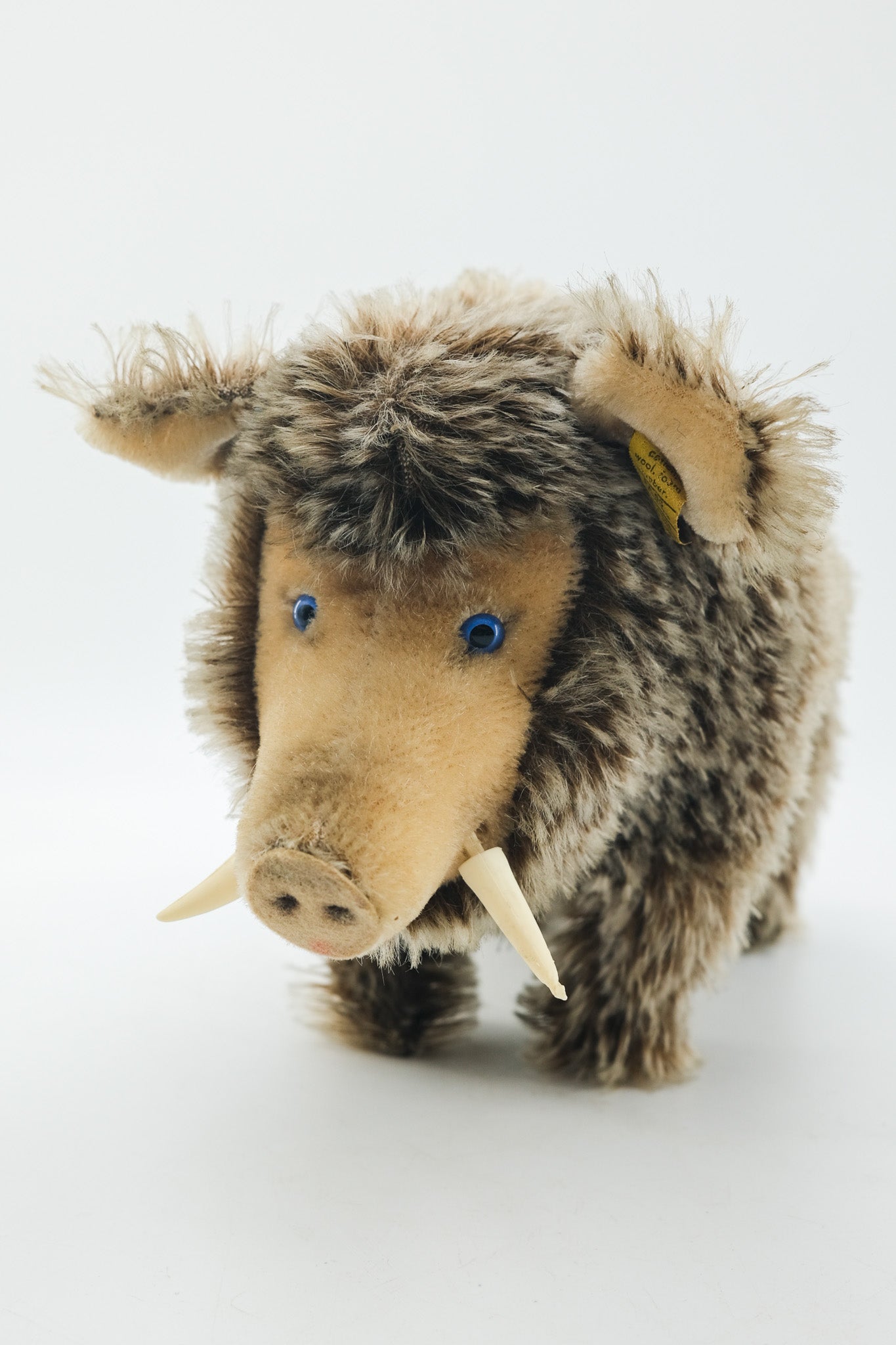 Dalle Wild Boar / シュタイフ製 イノシシのぬいぐるみ（Dalle）