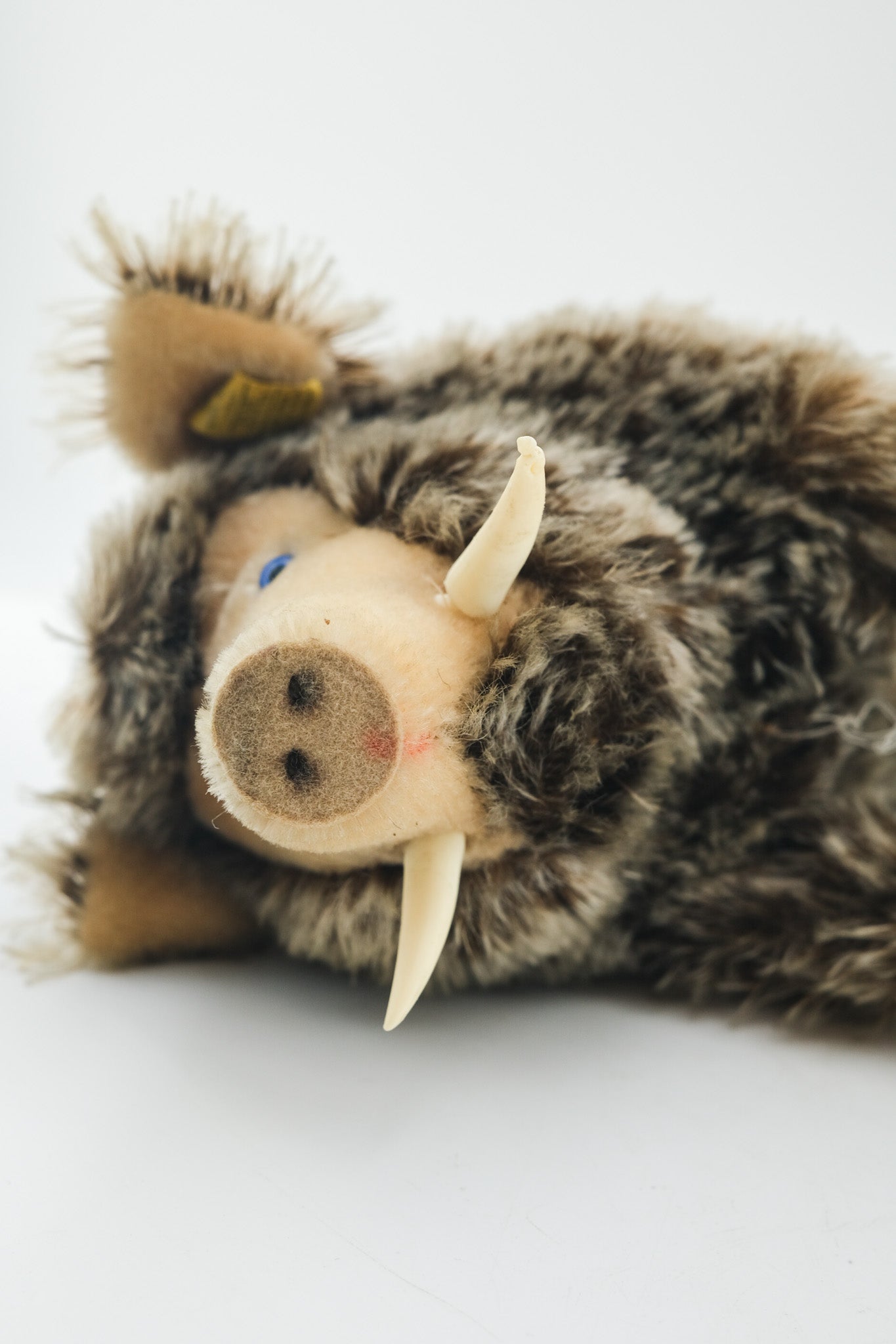Dalle Wild Boar / シュタイフ製 イノシシのぬいぐるみ（Dalle）