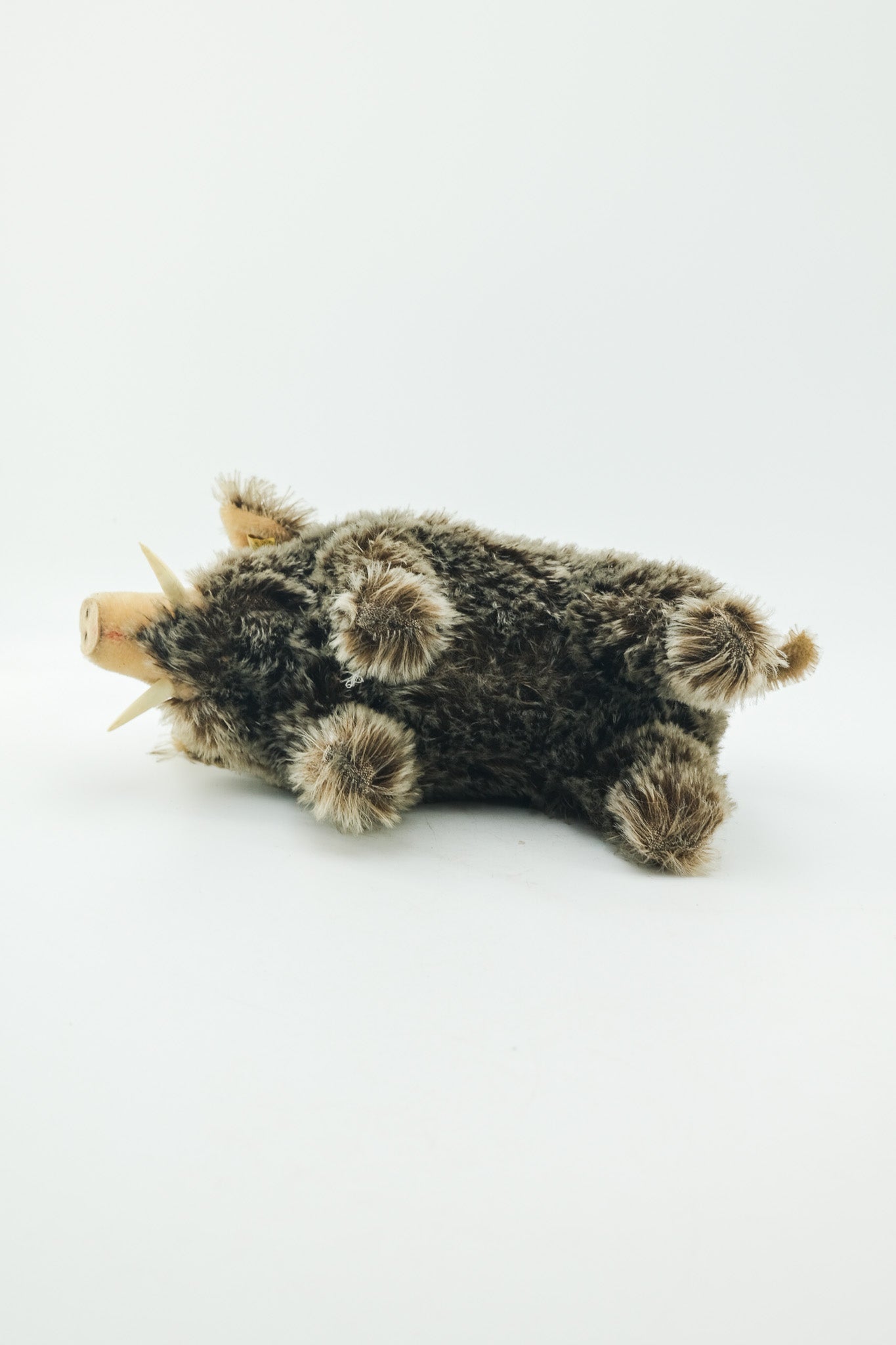 Dalle Wild Boar / シュタイフ製 イノシシのぬいぐるみ（Dalle）