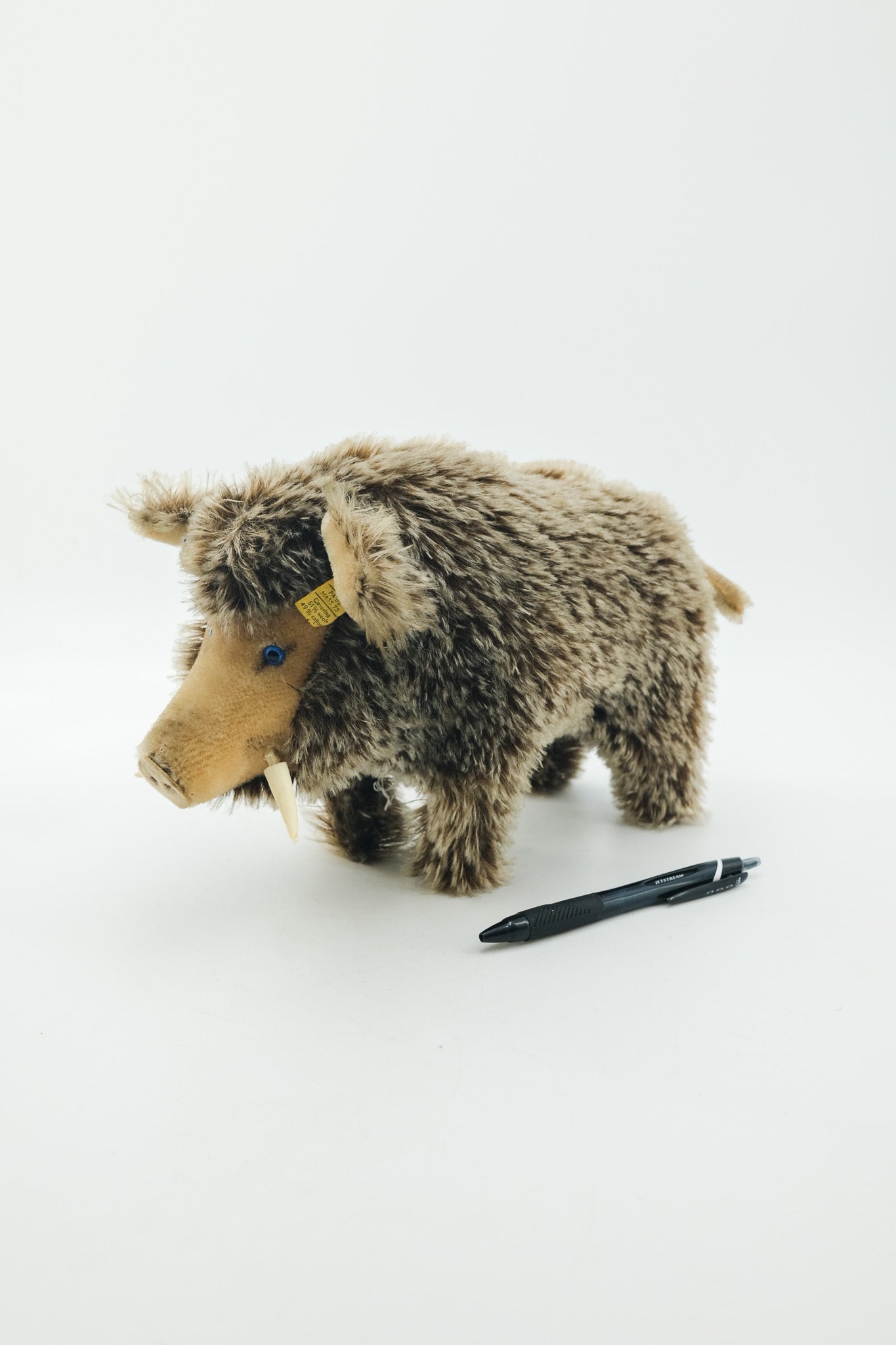 Dalle Wild Boar / シュタイフ製 イノシシのぬいぐるみ（Dalle）