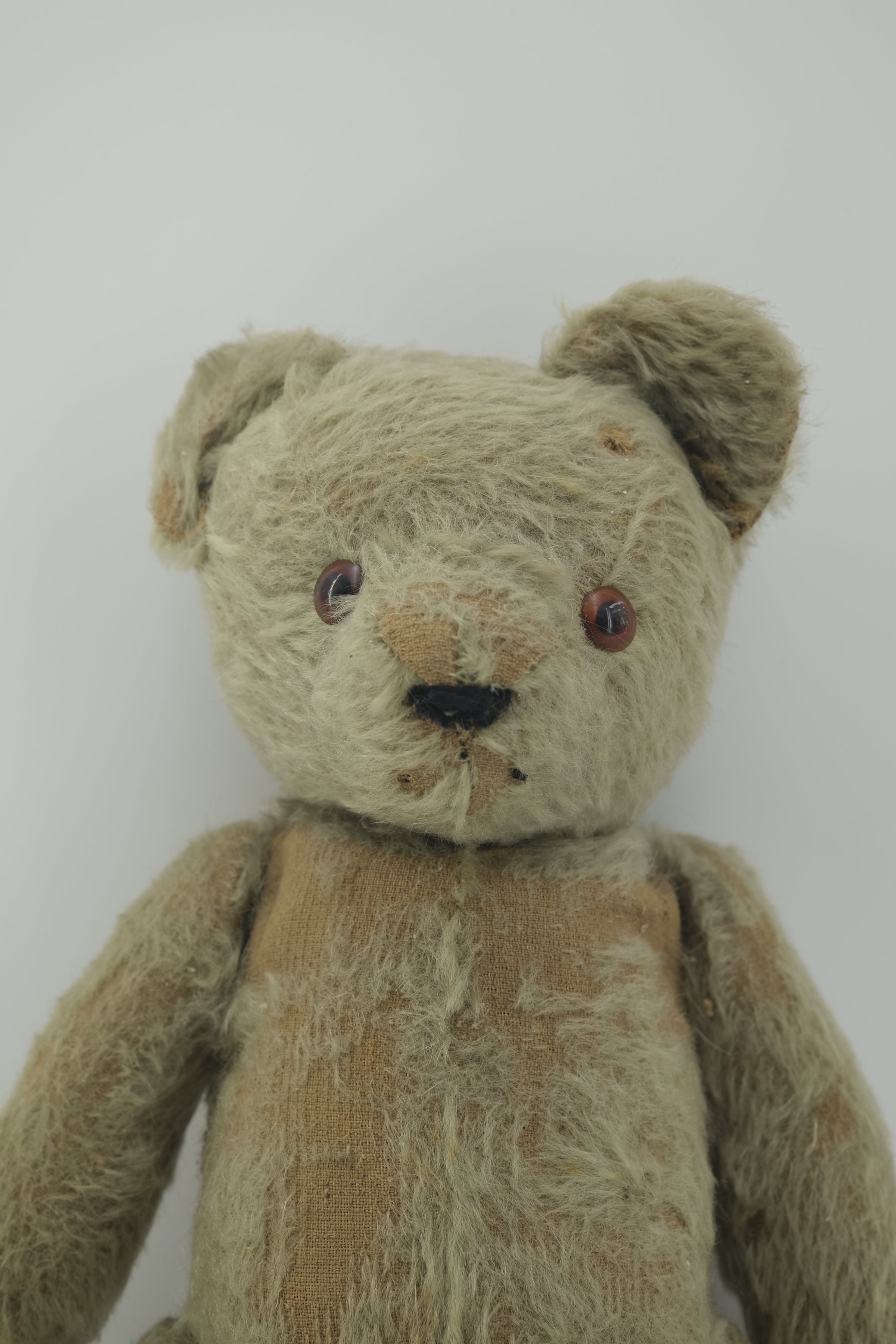 Teddy Bear / テディベア