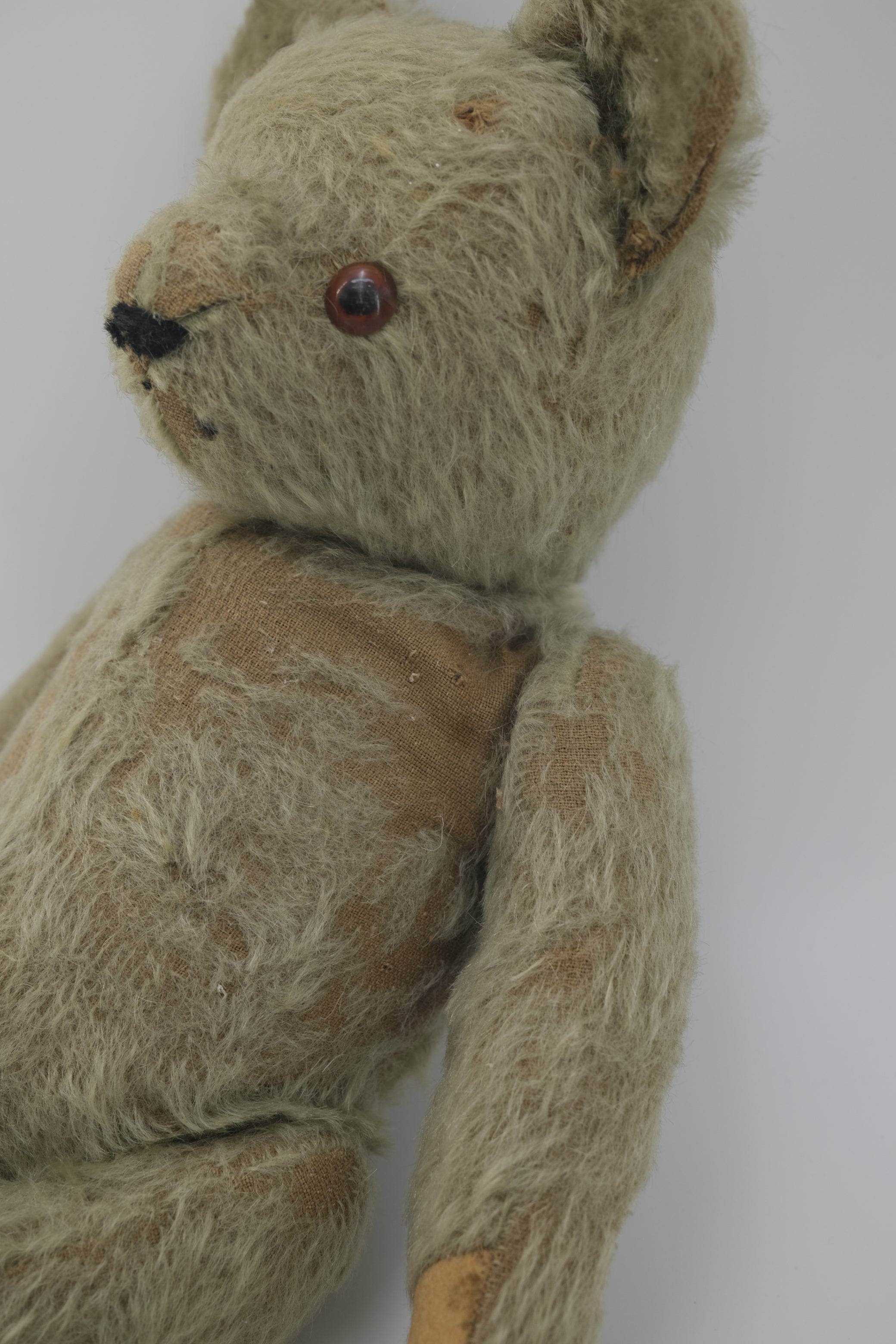 Teddy Bear / テディベア