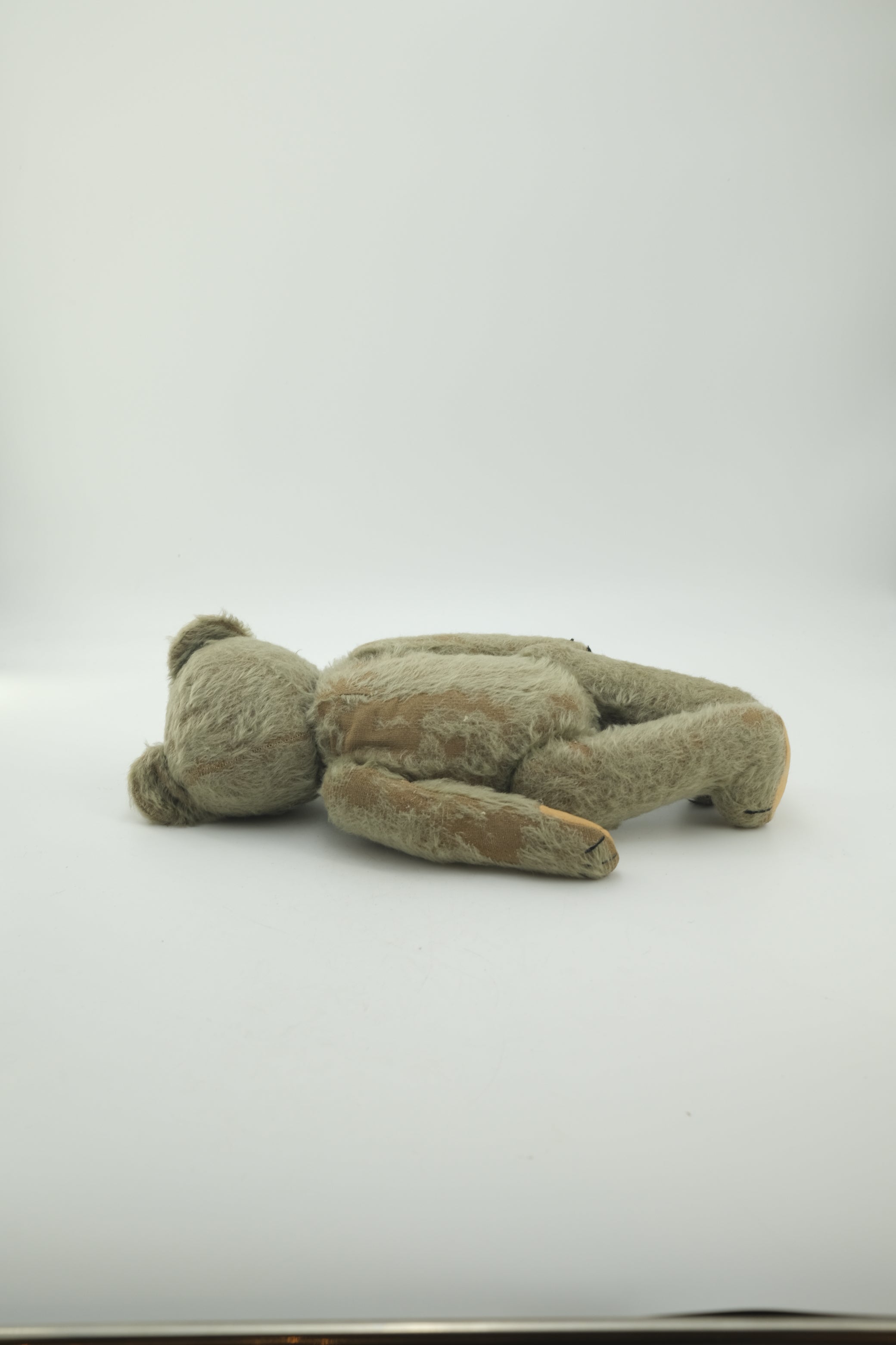 Teddy Bear / テディベア