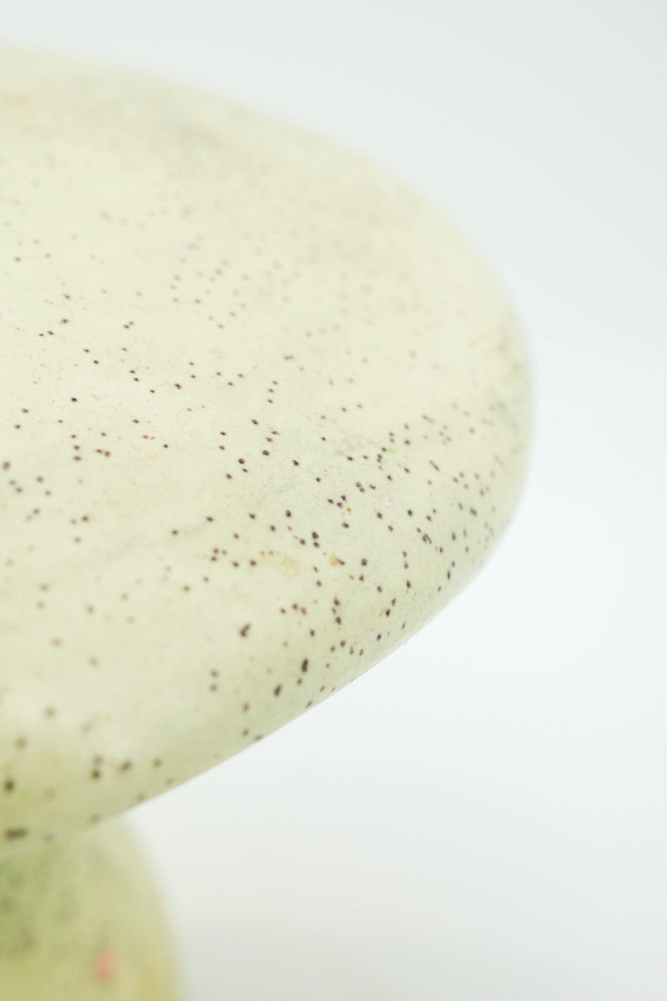Ceramic Mushroom Objet / 陶器製 きのこオブジェ – STORE IN FACTORY