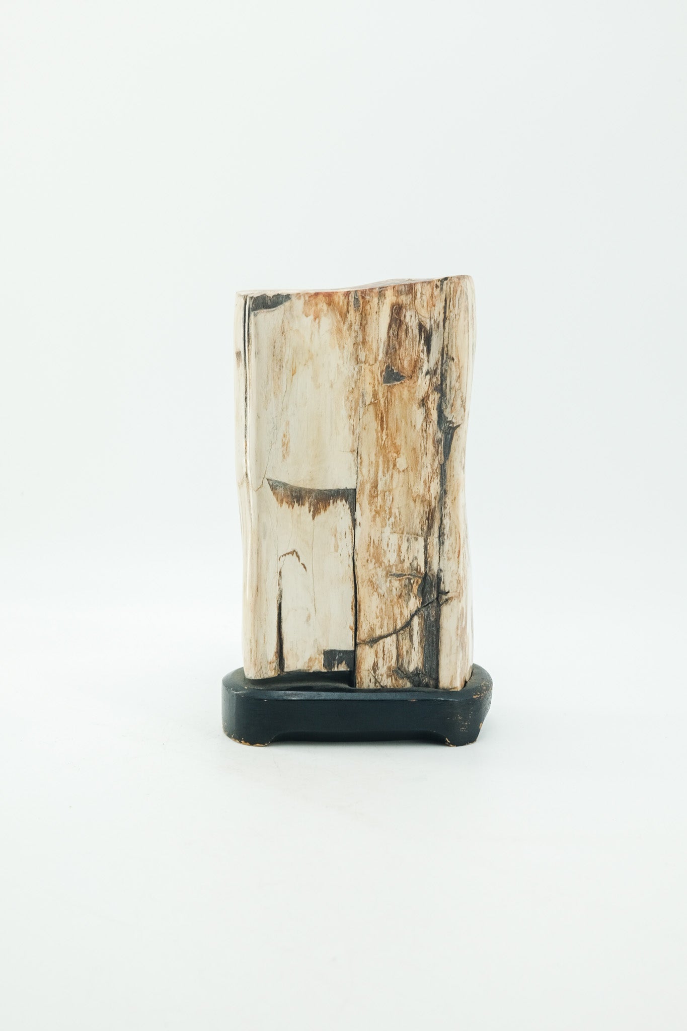 Petrified Wood Object / 珪化木 オブジェ