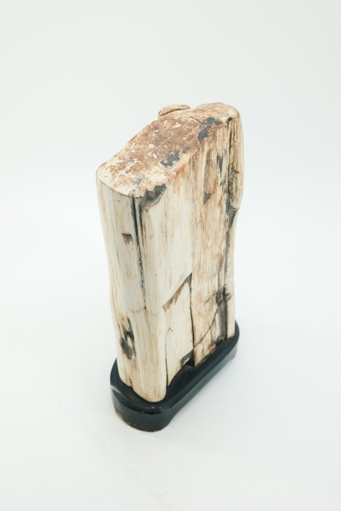 Petrified Wood Object / 珪化木 オブジェ