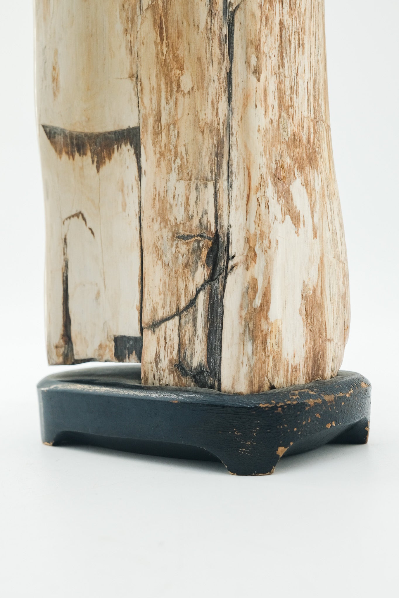 Petrified Wood Object / 珪化木 オブジェ – STORE IN FACTORY Online