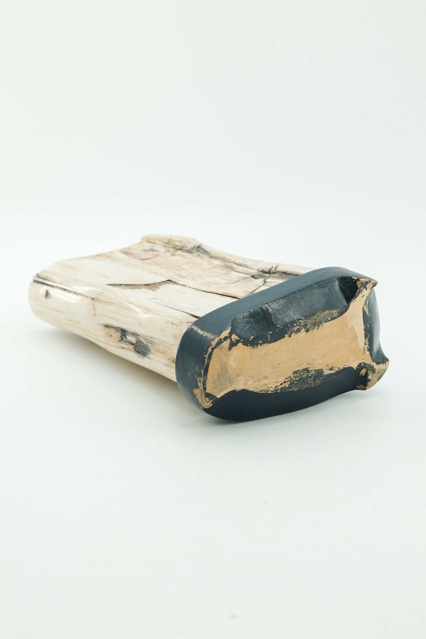 Petrified Wood Object / 珪化木 オブジェ