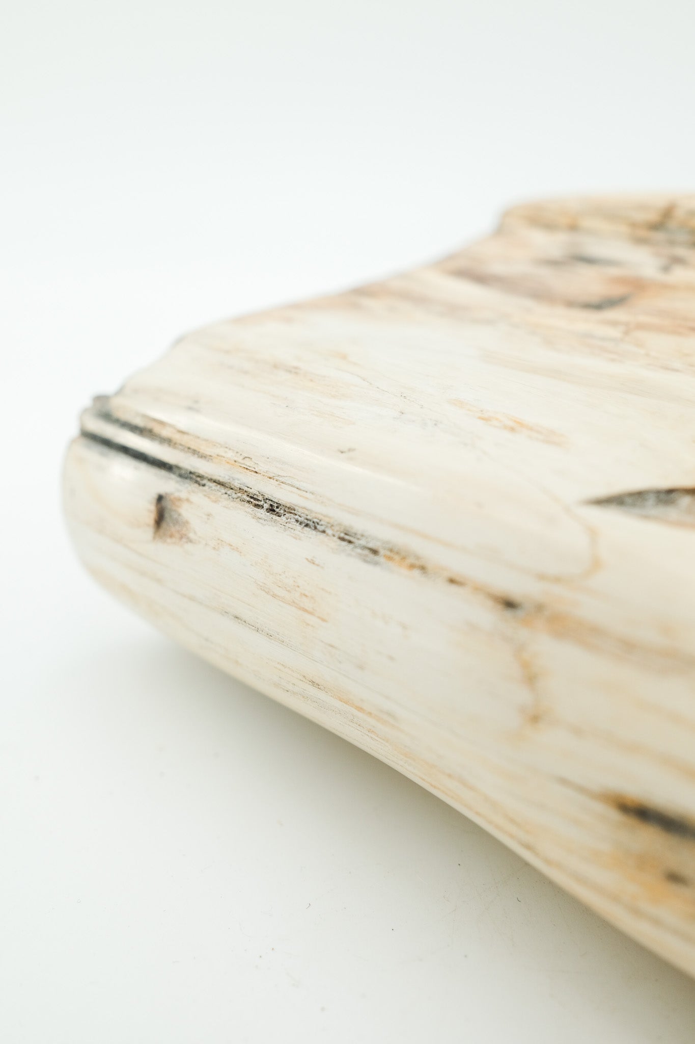 Petrified Wood Object / 珪化木 オブジェ
