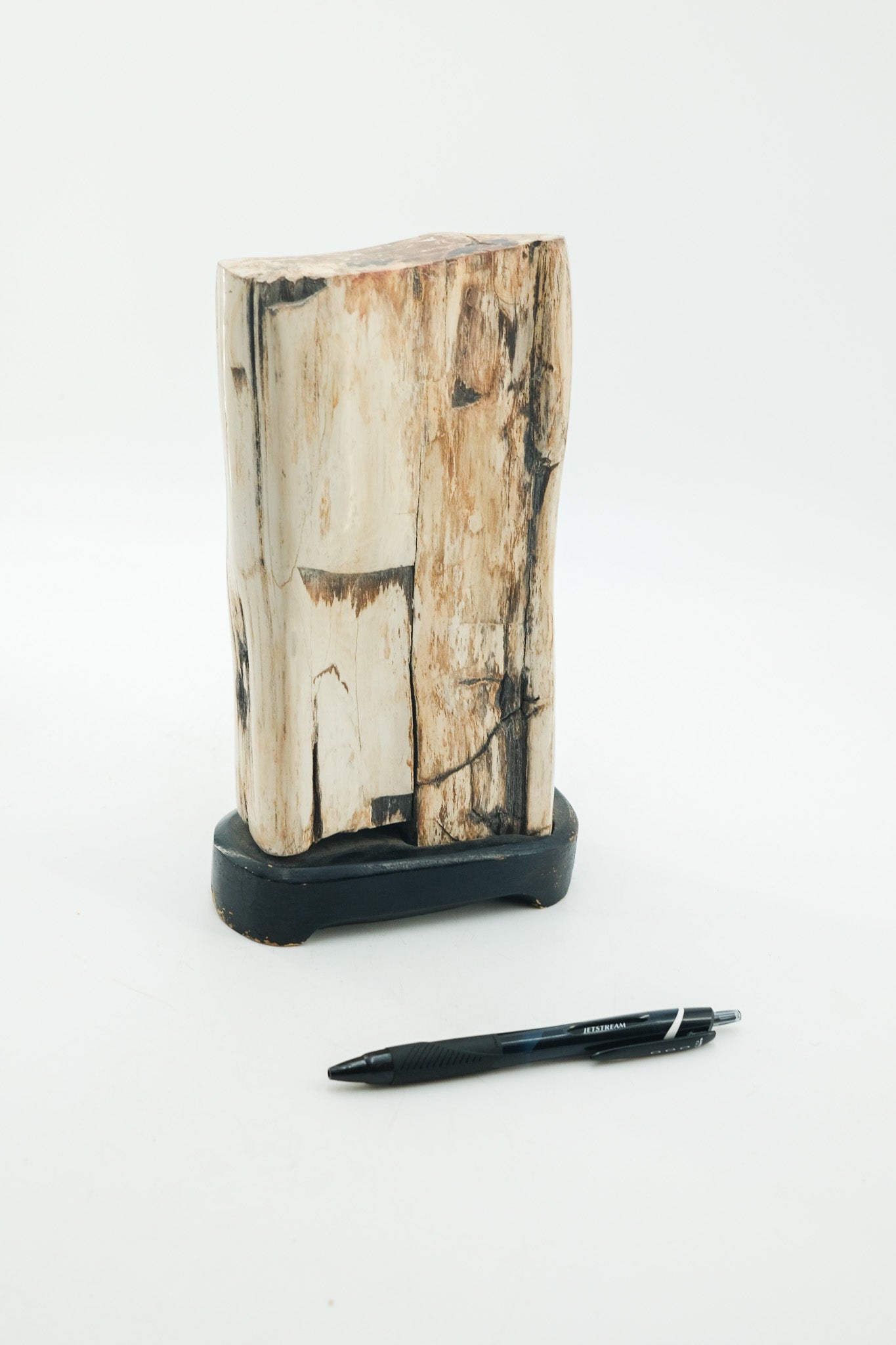 Petrified Wood Object / 珪化木 オブジェ