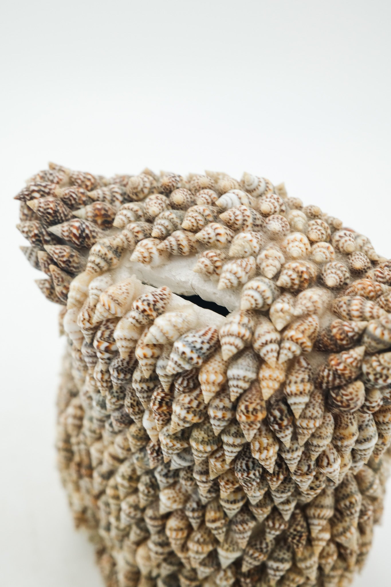 Shell Craft Owl Ornament / 貝細工のフクロウの置物