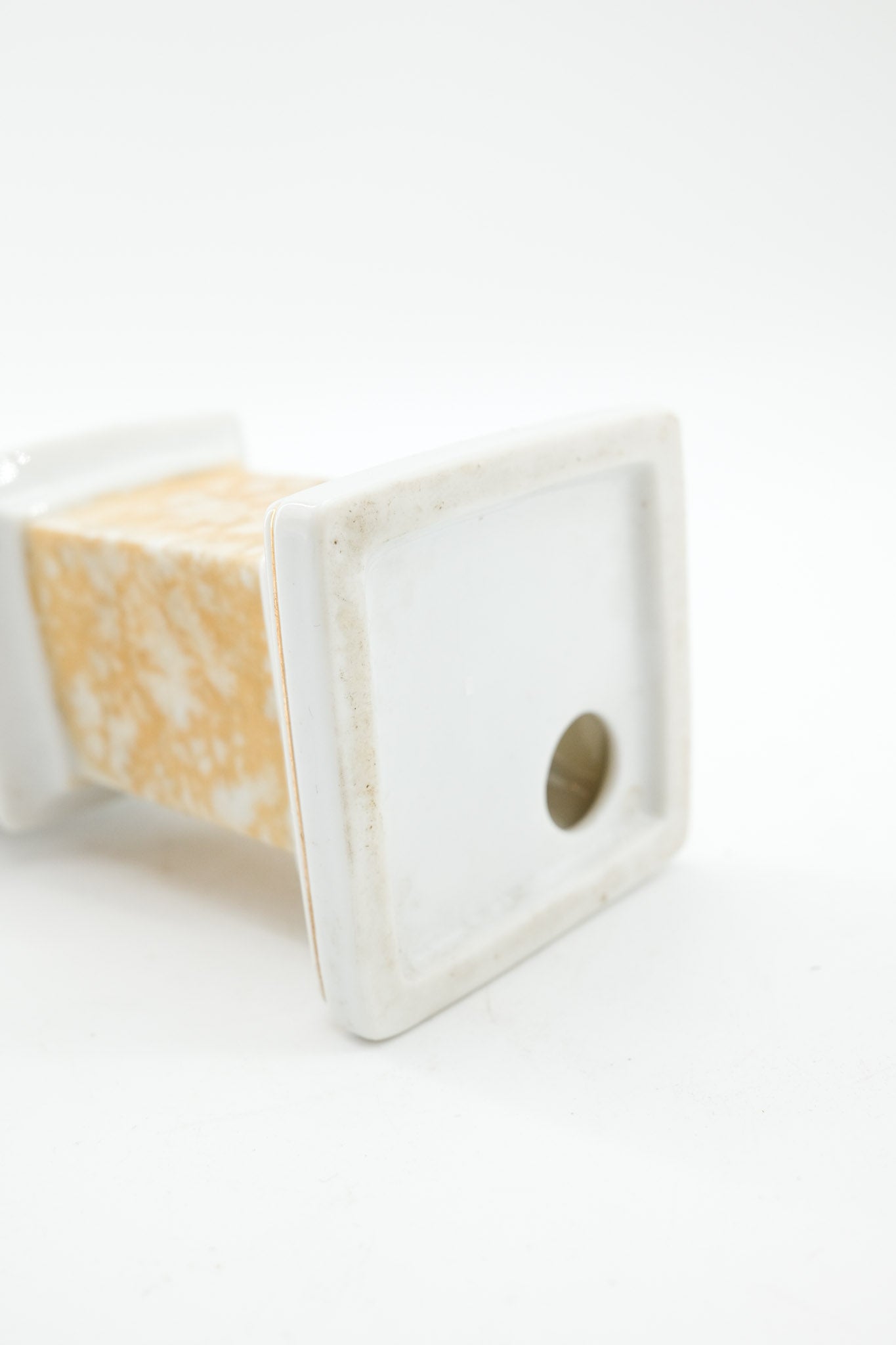 Parrot Bust in Military Uniform / オウムの将校フィギュア