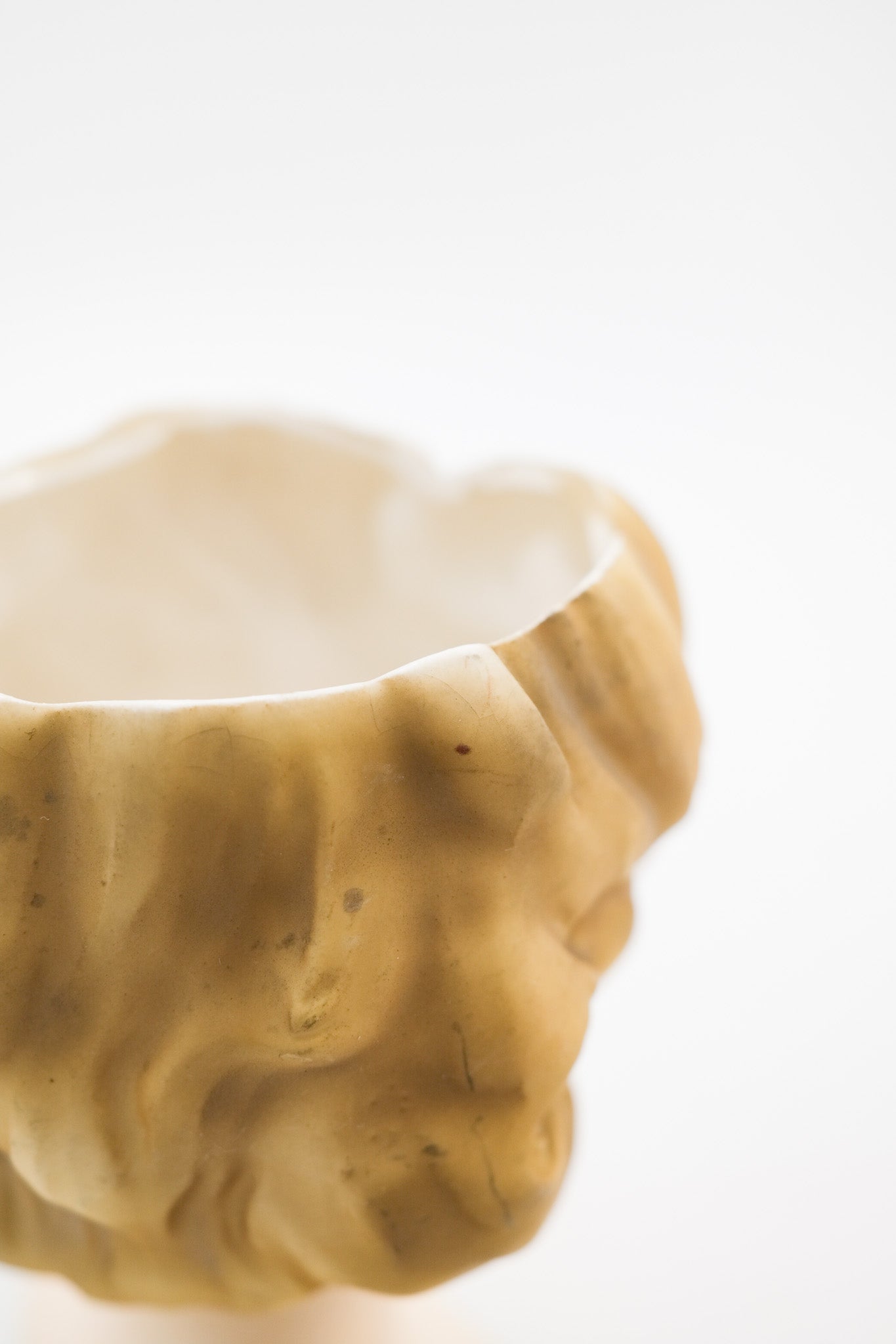 Lady Head Vase / 貴婦人のヘッドベース – STORE IN FACTORY Online