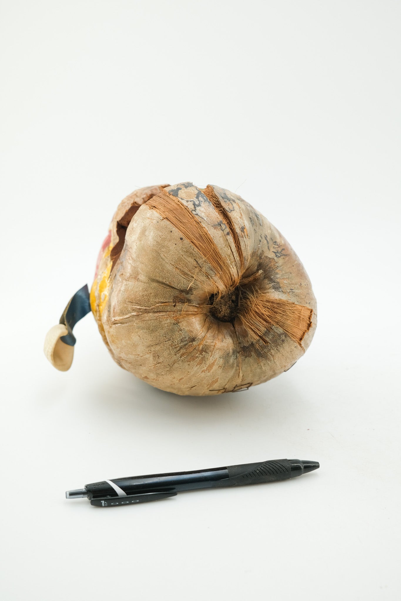 Coconut Folk Art Doll / ココナッツの人形