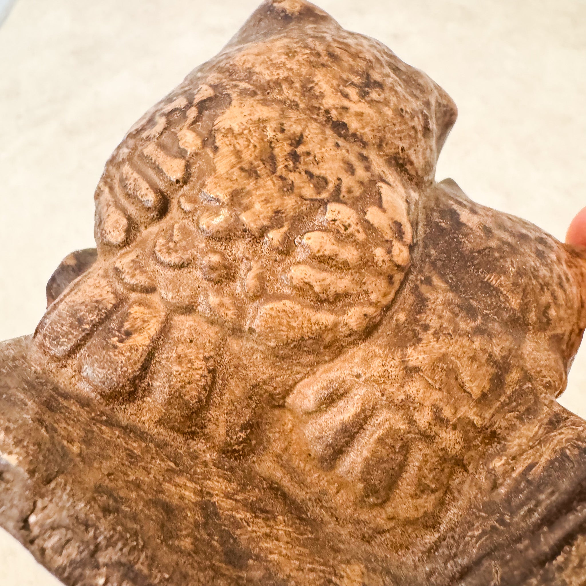 Owl Tray / フクロウのトレイ