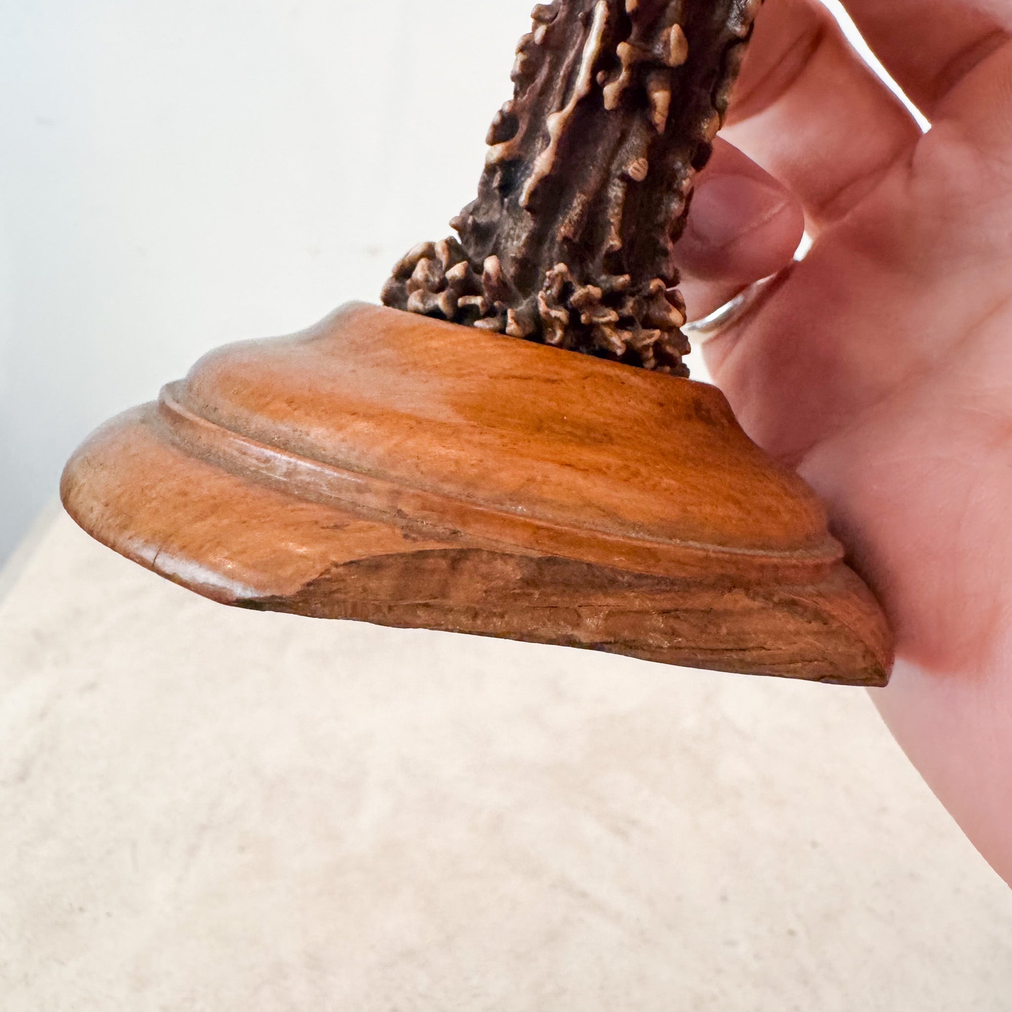 Horn Object / 角のオブジェ