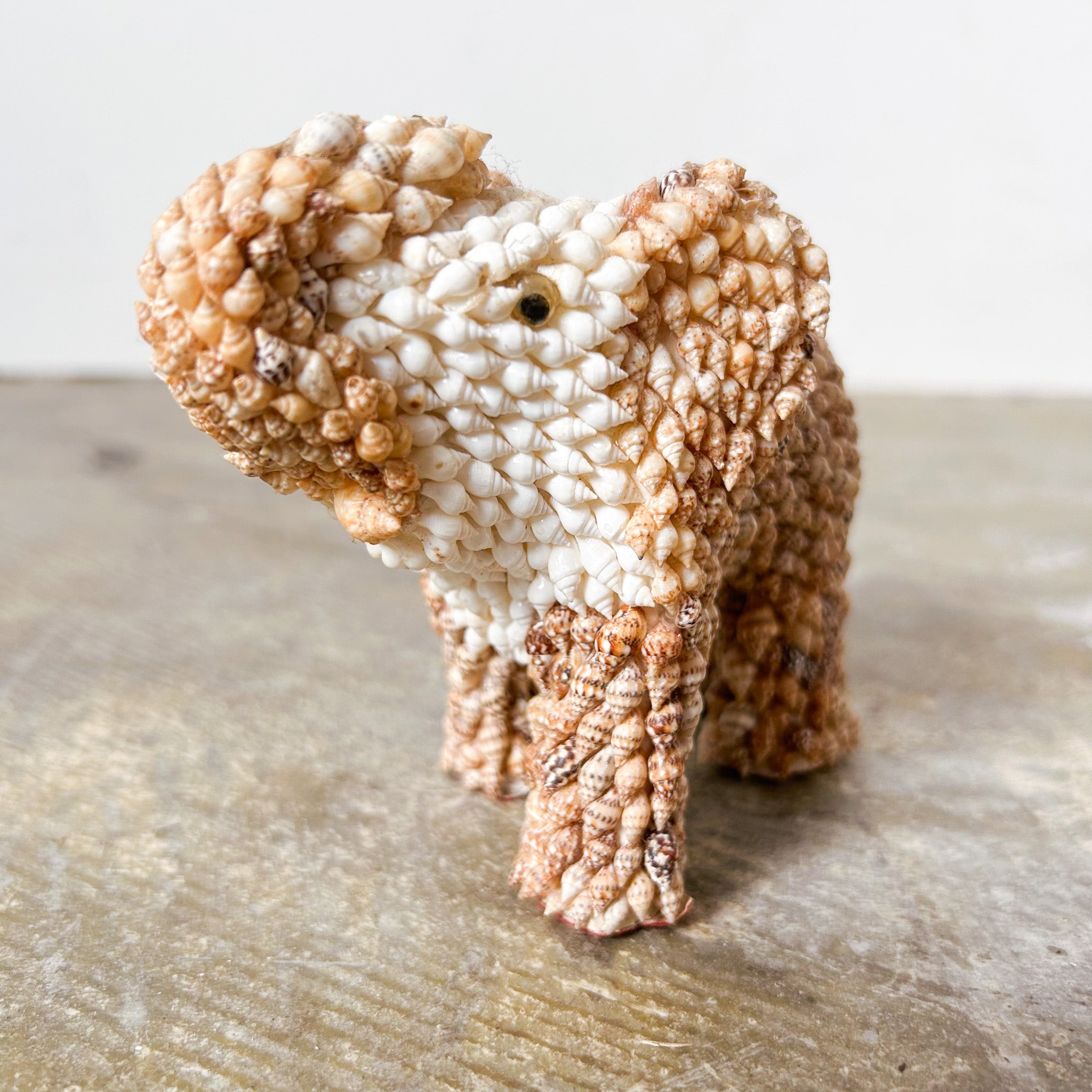 Seashell Elephant Figurine / 貝殻アートのゾウ