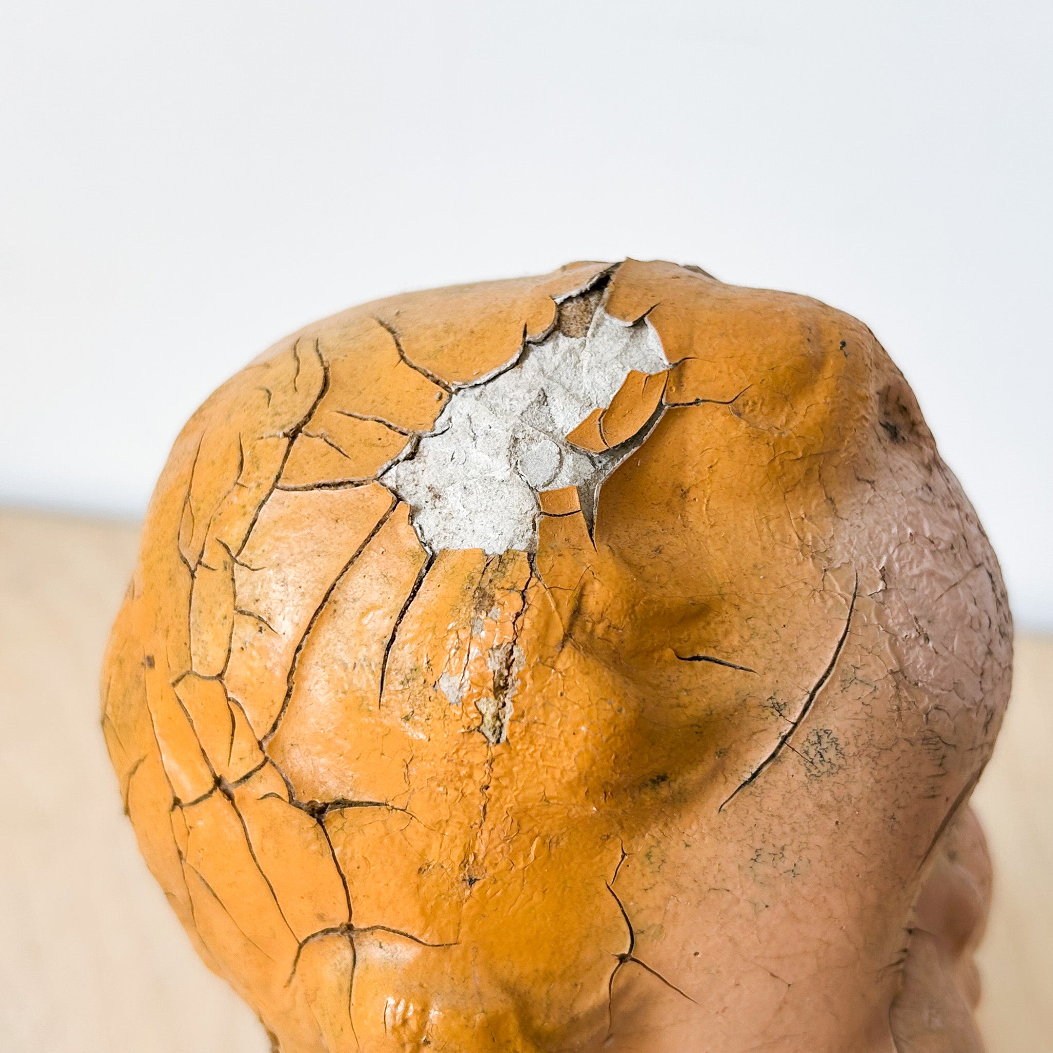 Doll Head / ドールの頭