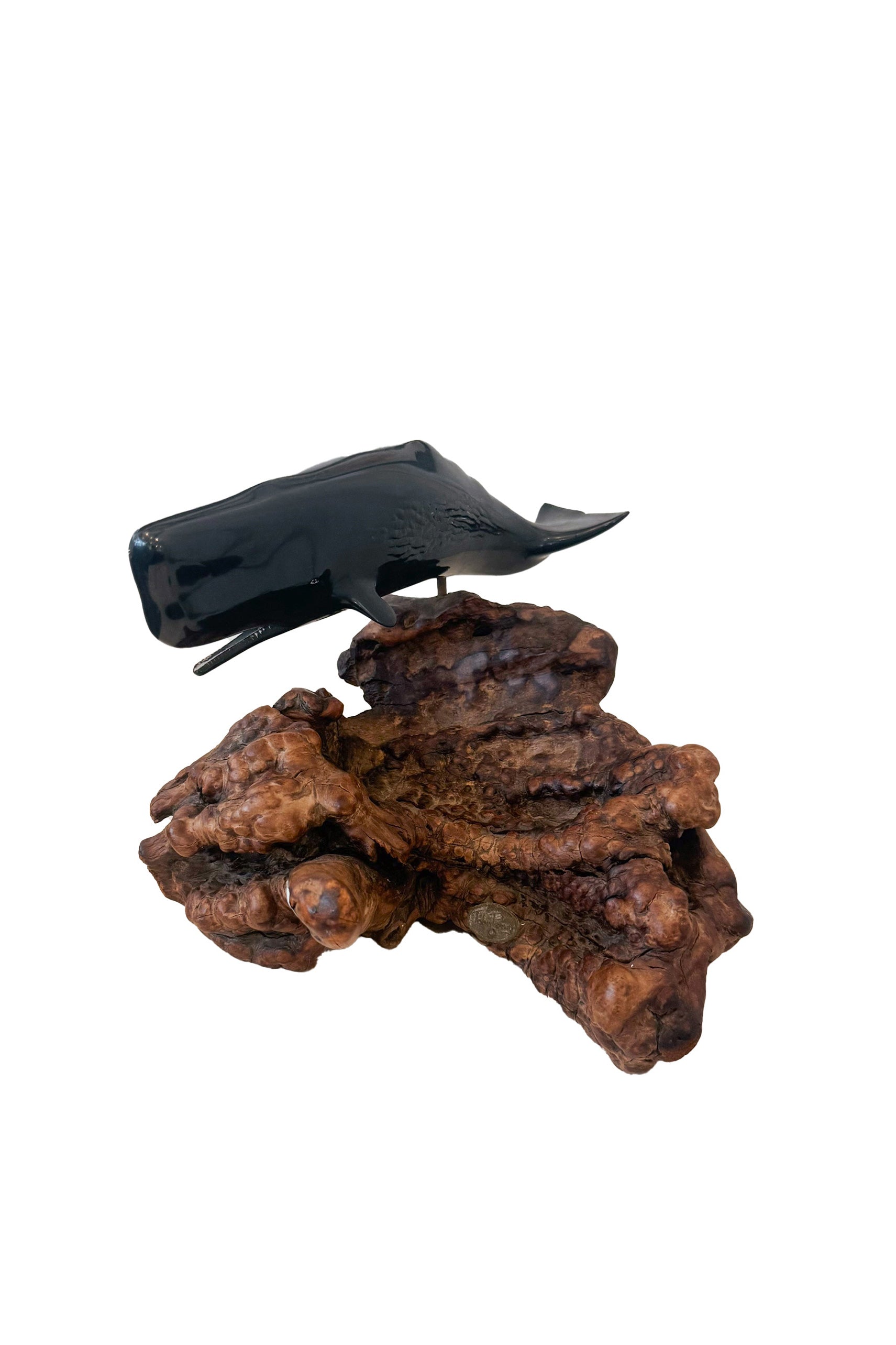 Whale And Burl Object / 鯨と樹瘤のオブジェ