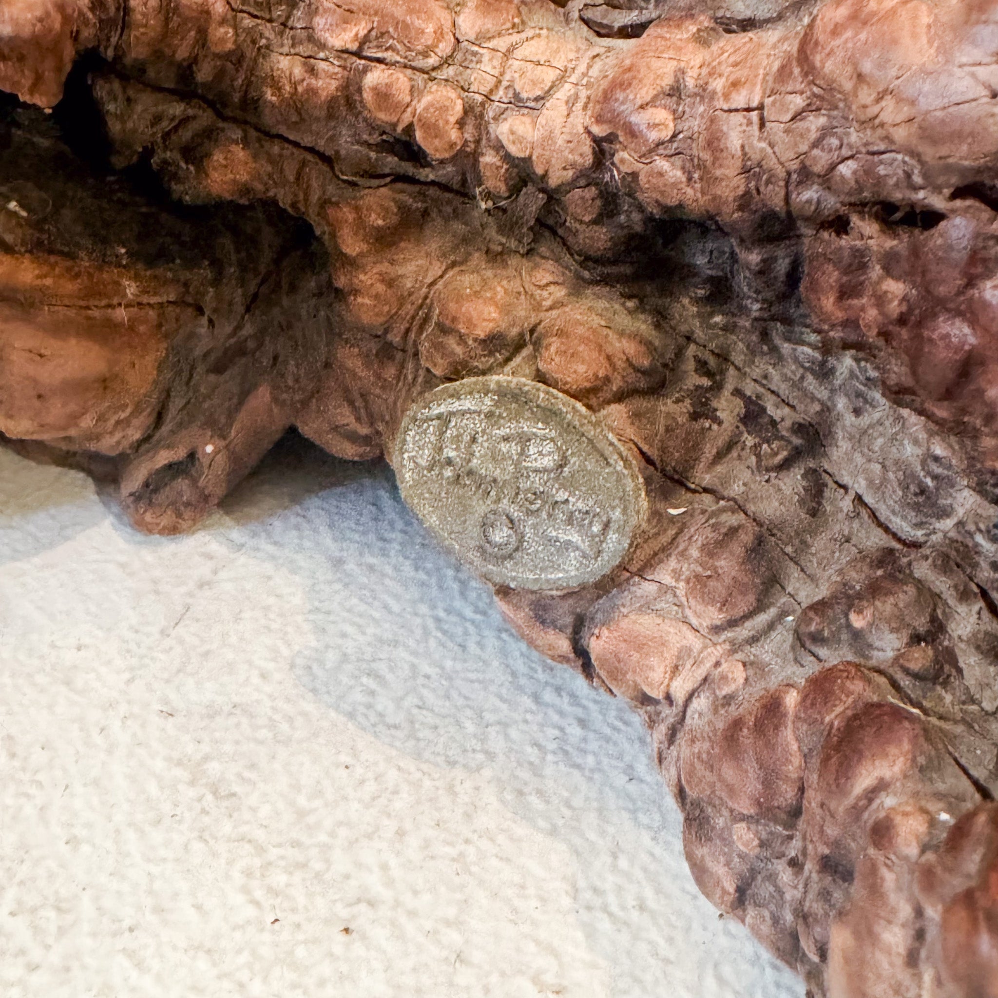 Whale And Burl Object / 鯨と樹瘤のオブジェ
