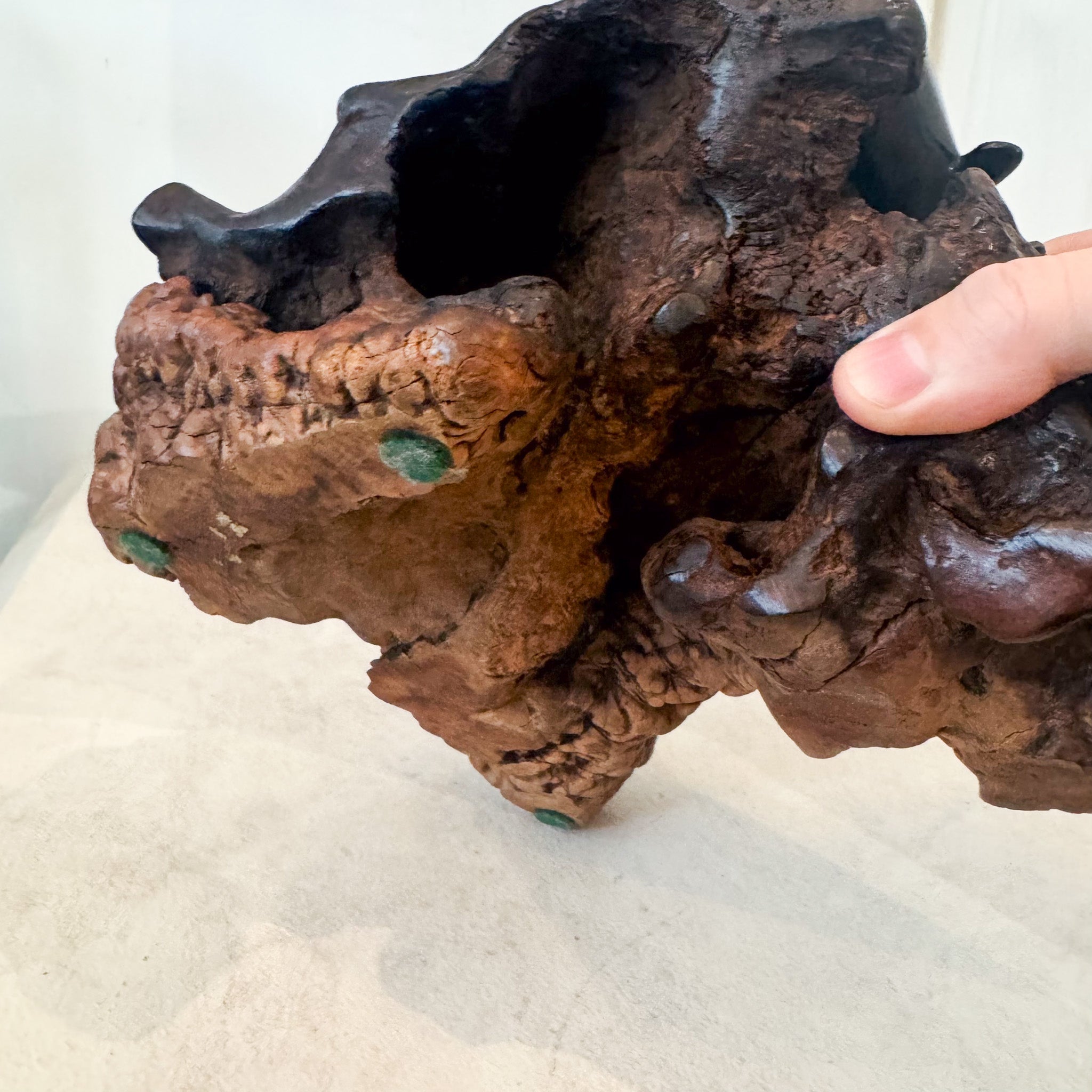 Whale And Burl Object / 鯨と樹瘤のオブジェ