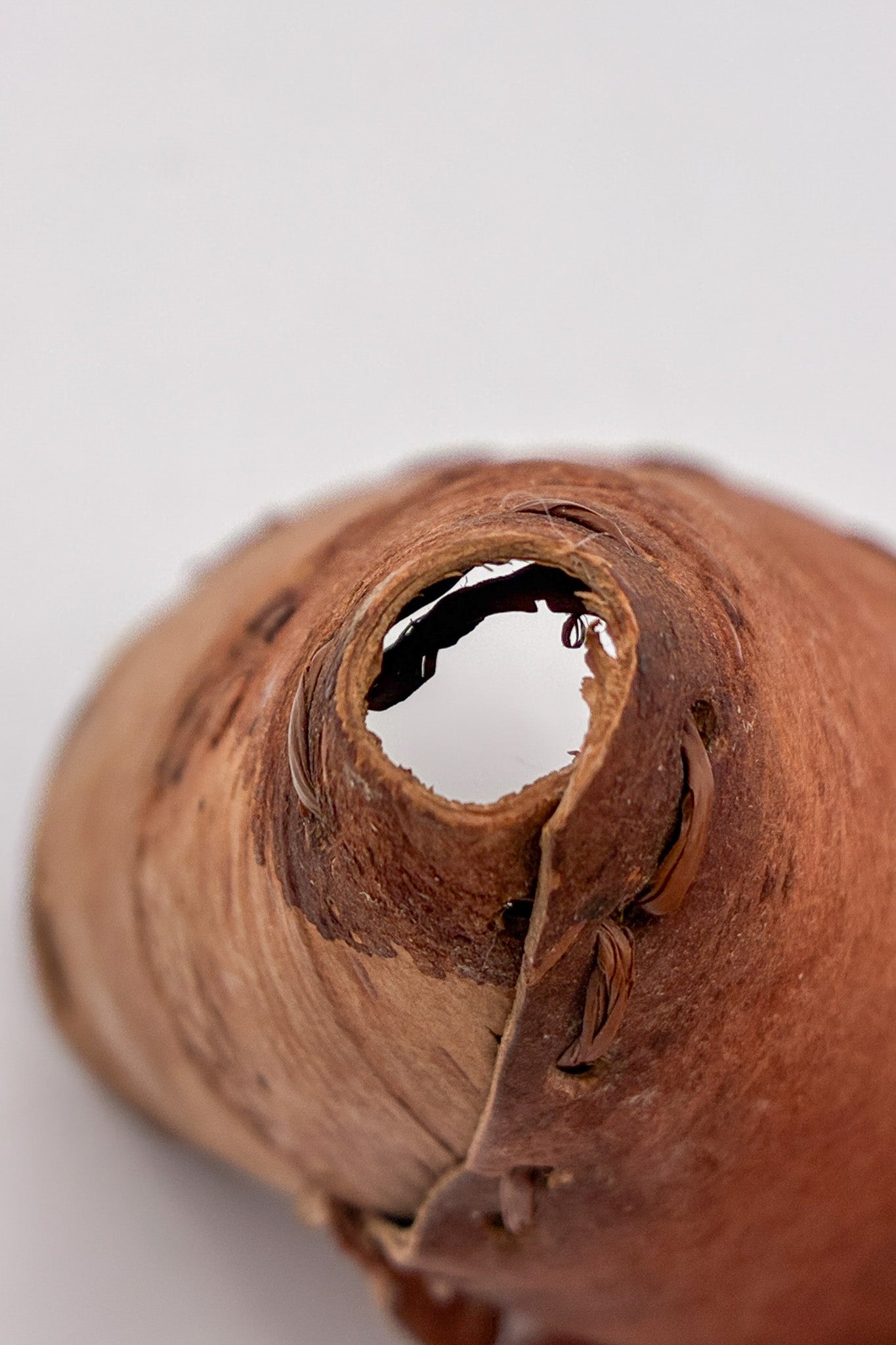 Birch Bark Tipi Objet / 白樺の樹皮 ティピのオブジェ