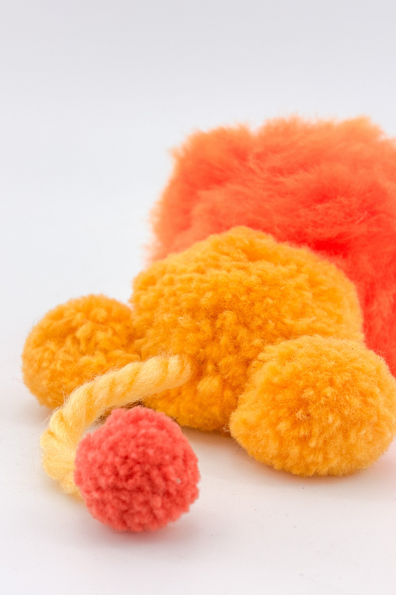 Lion Stuffed Animal / ライオンのぬいぐるみ