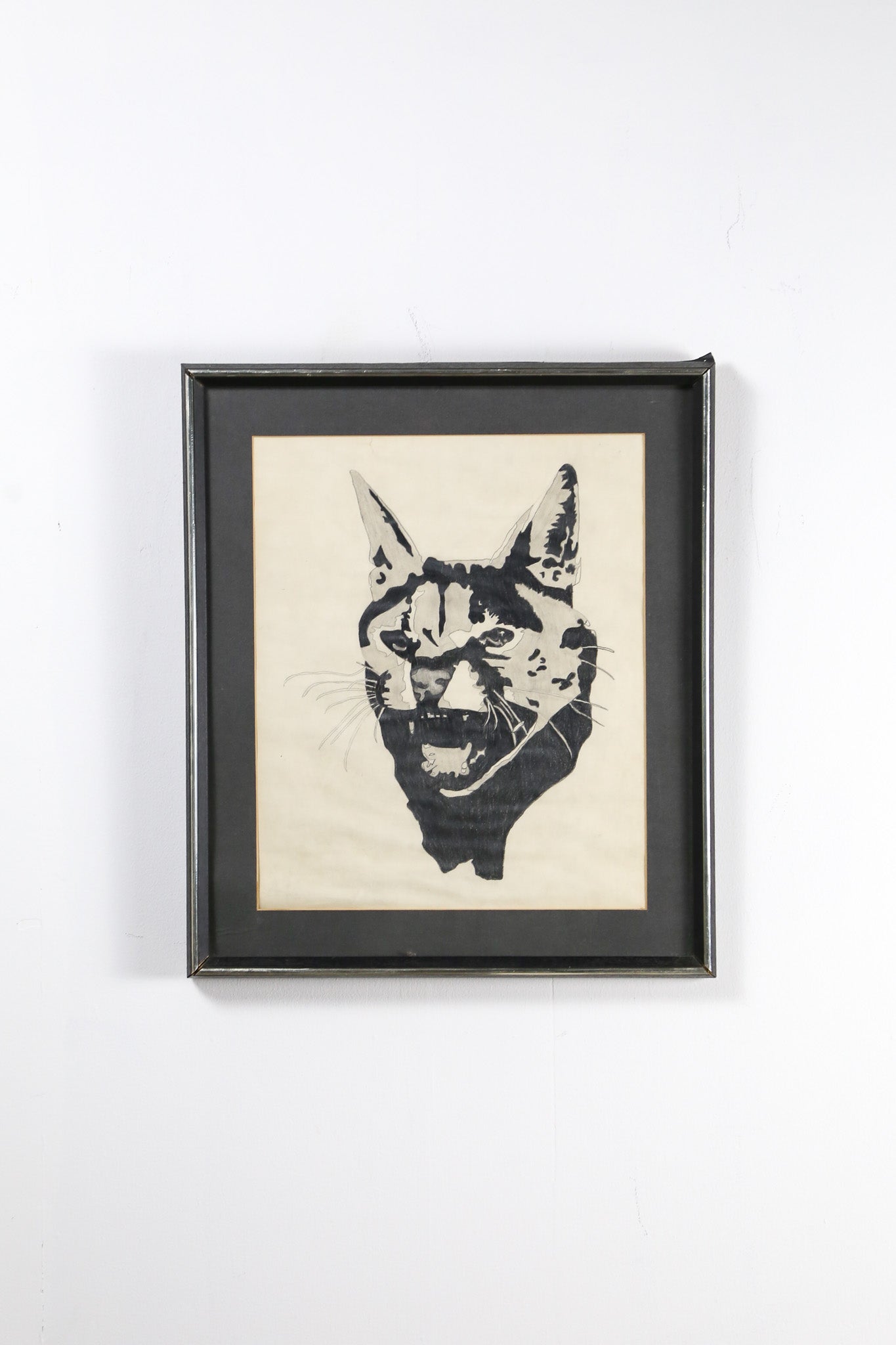 Cat Face Art / 猫の顔