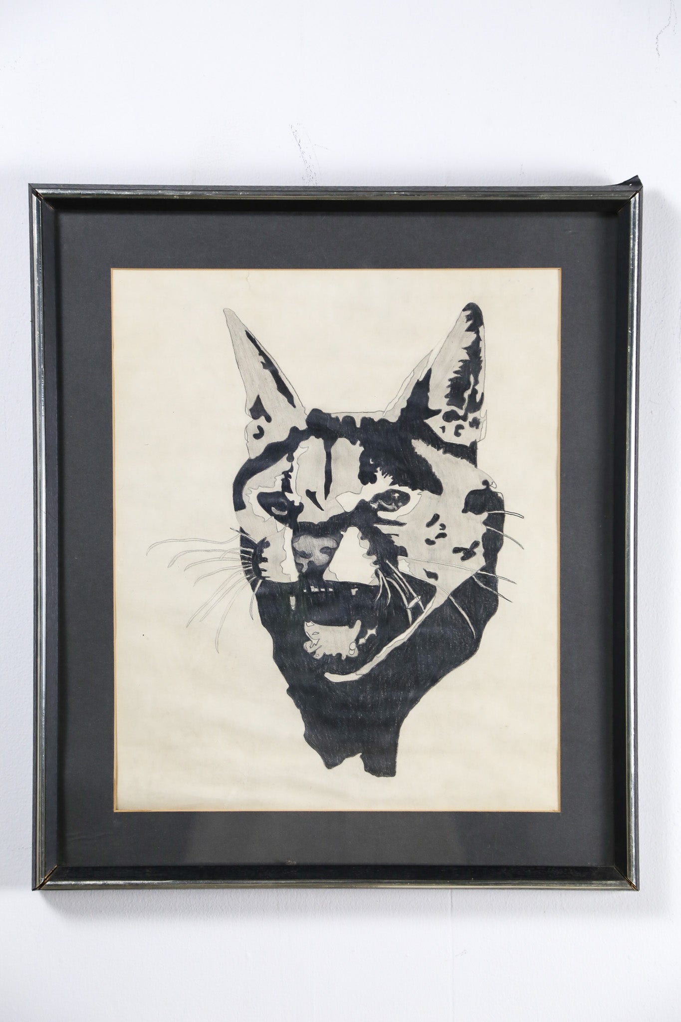 Cat Face Art / 猫の顔