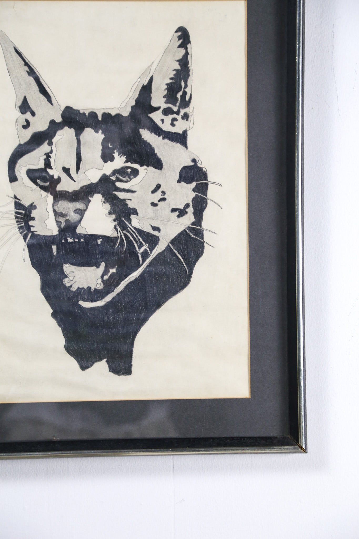 Cat Face Art / 猫の顔