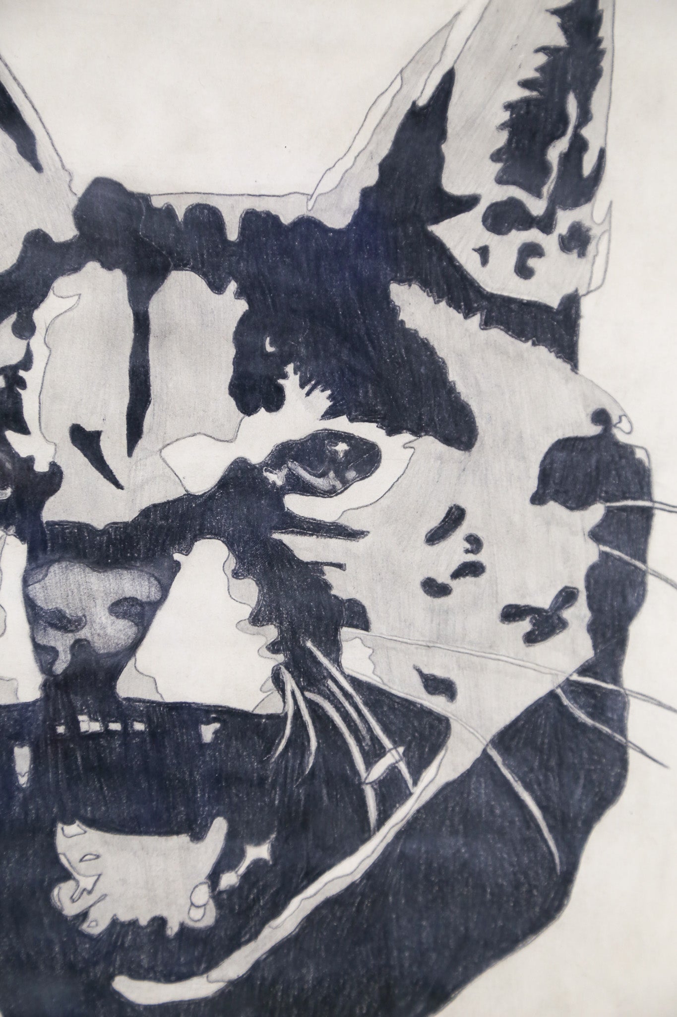 Cat Face Art / 猫の顔