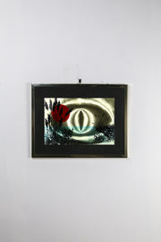 Horizontal Line & Botanical Art / 水平線×植物