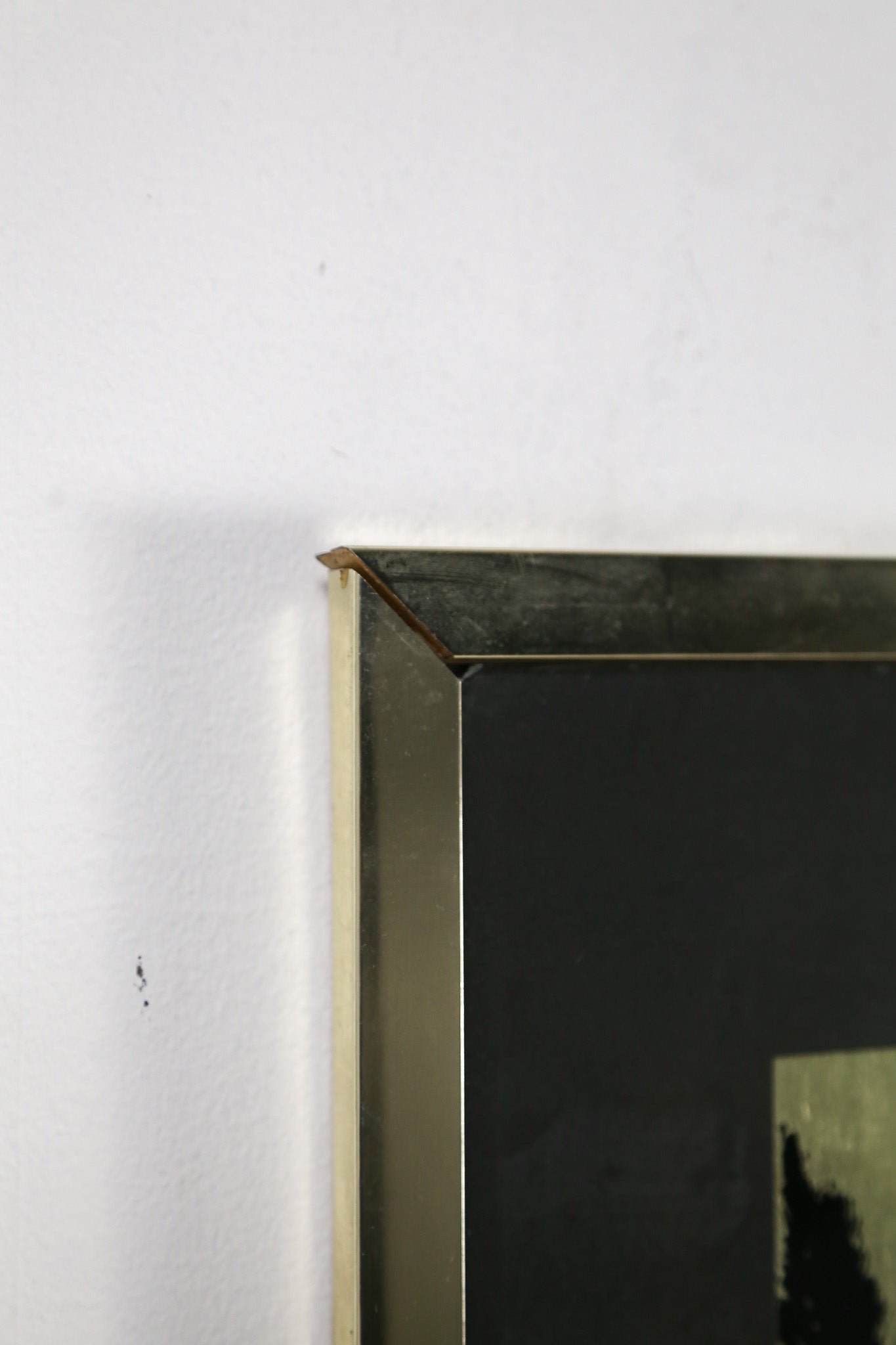 Horizontal Line & Botanical Art / 水平線×植物