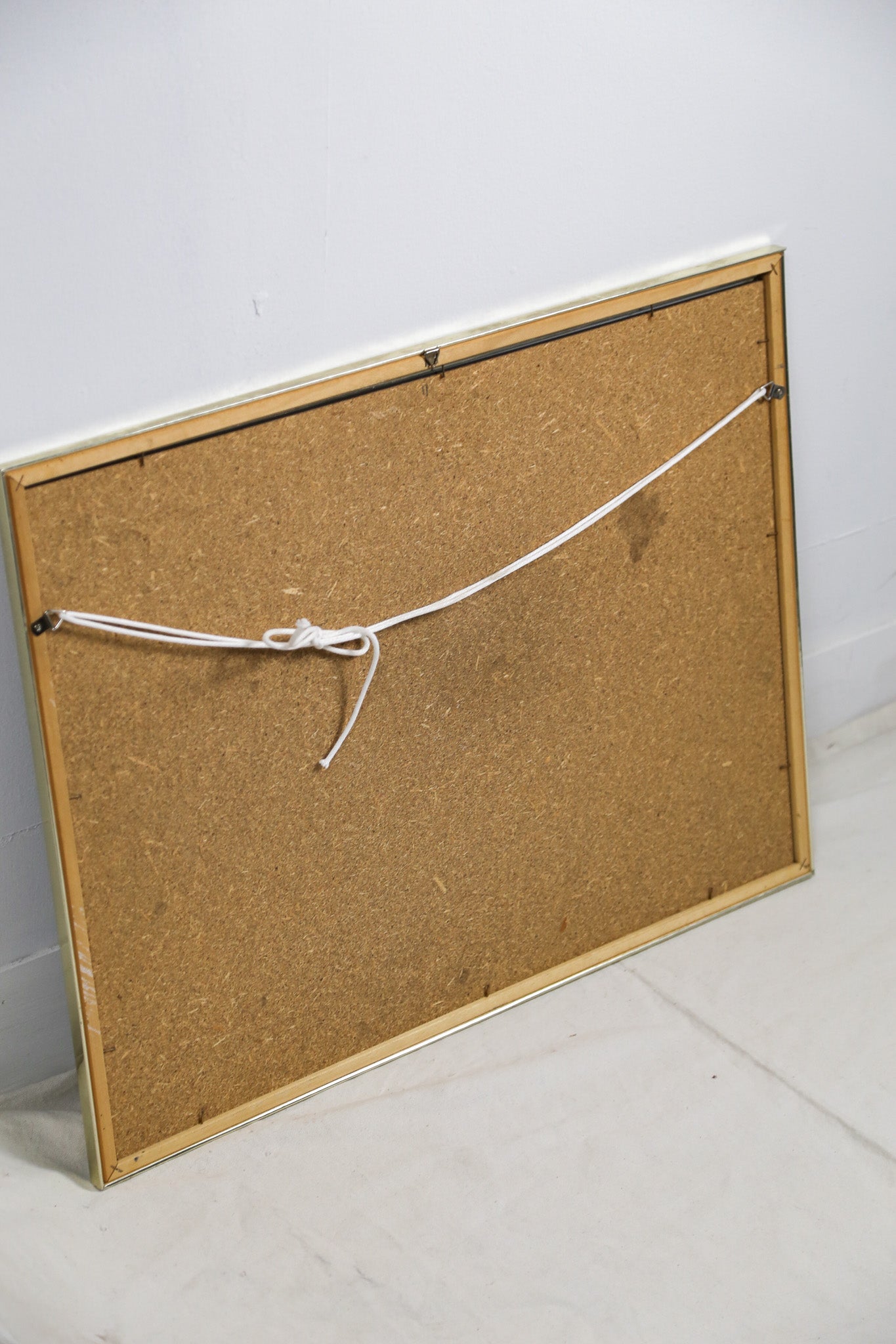 Horizontal Line & Botanical Art / 水平線×植物