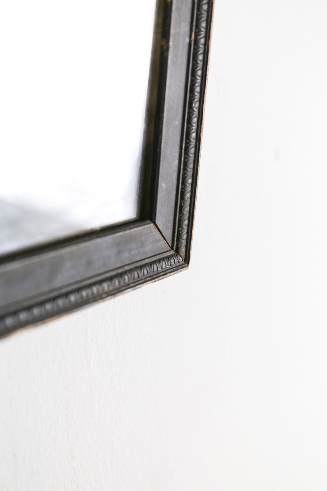 Group Photographs / 集合写真