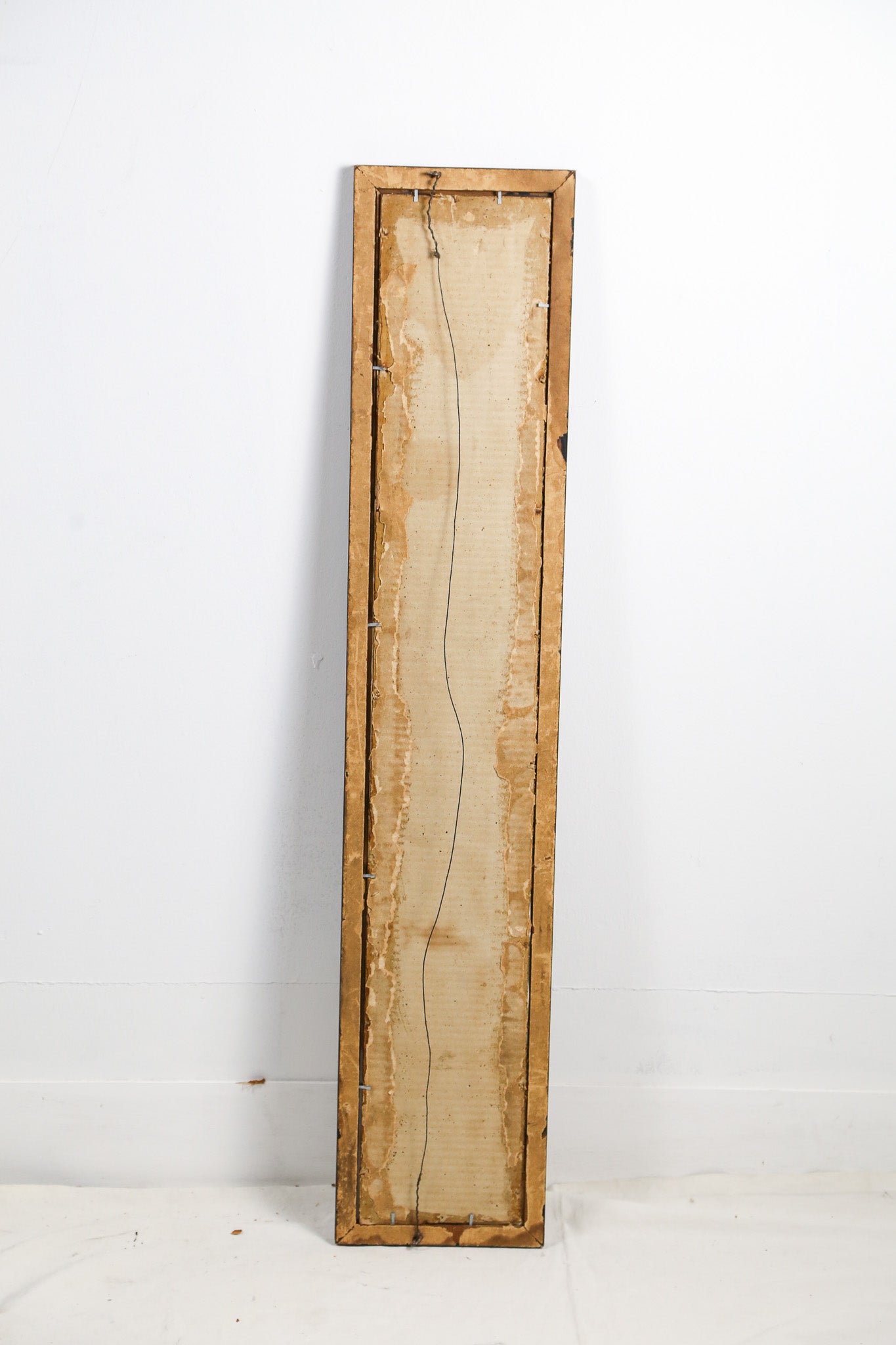 Group Photographs / 集合写真