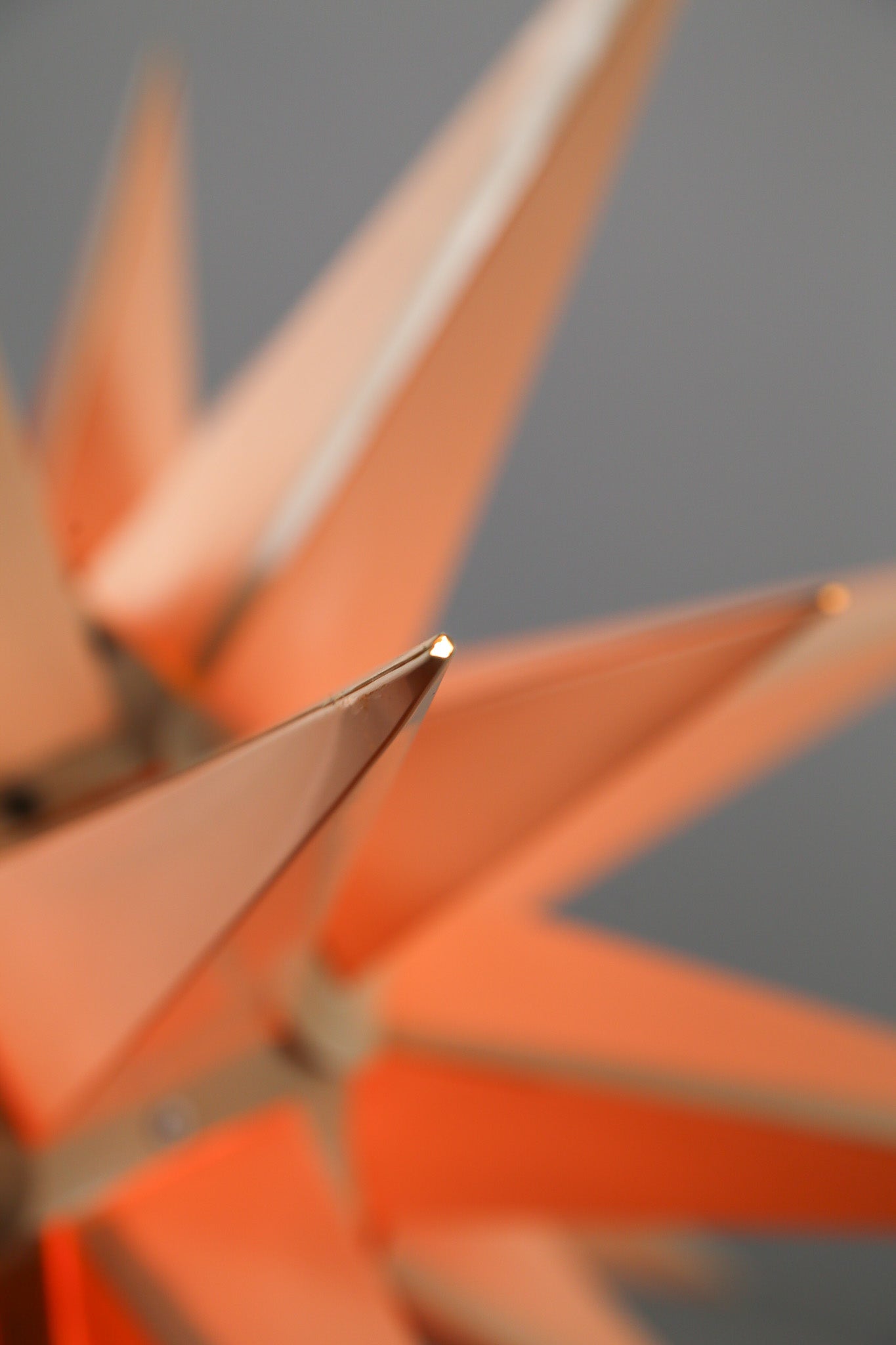 Star Motif Pendant Light / スターモチーフ ペンダントライト