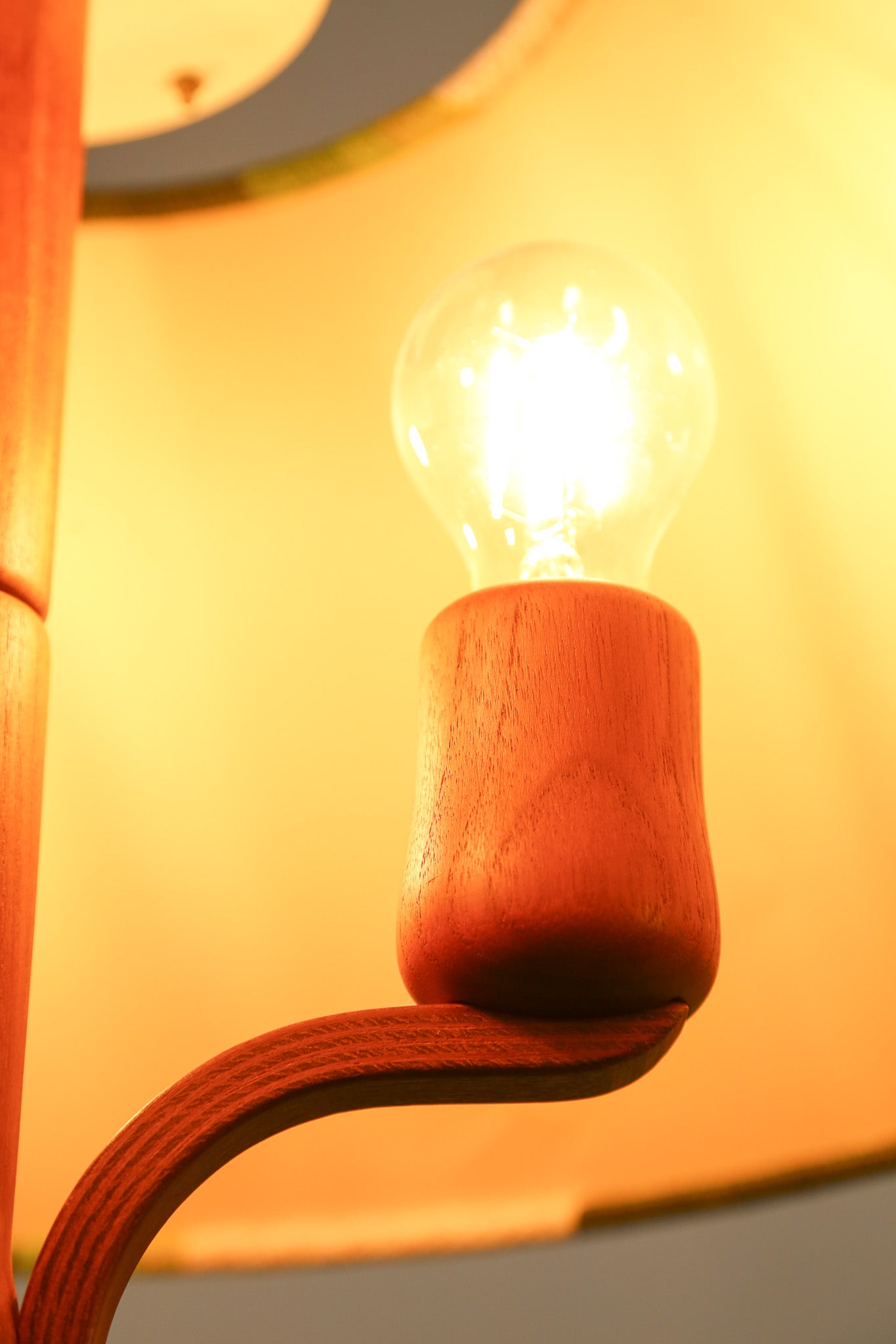 Vintage Teak Pendant Light with Psychadelic Green Shade / ヴィンテージ チーク ペンダントライト サイケデリックグリーンシェード