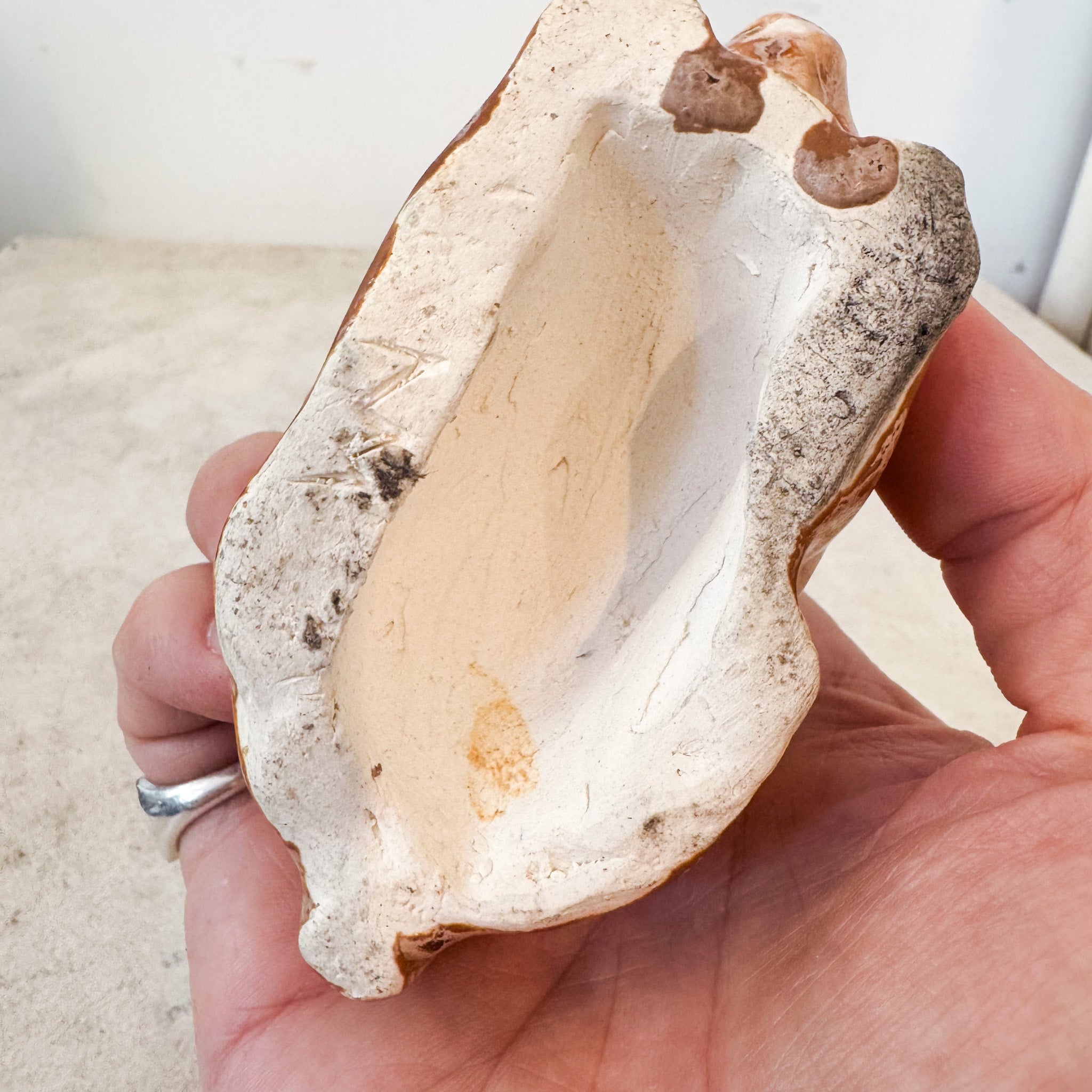 Ceramic Rabbit Figurine / 陶器製うさぎの置物