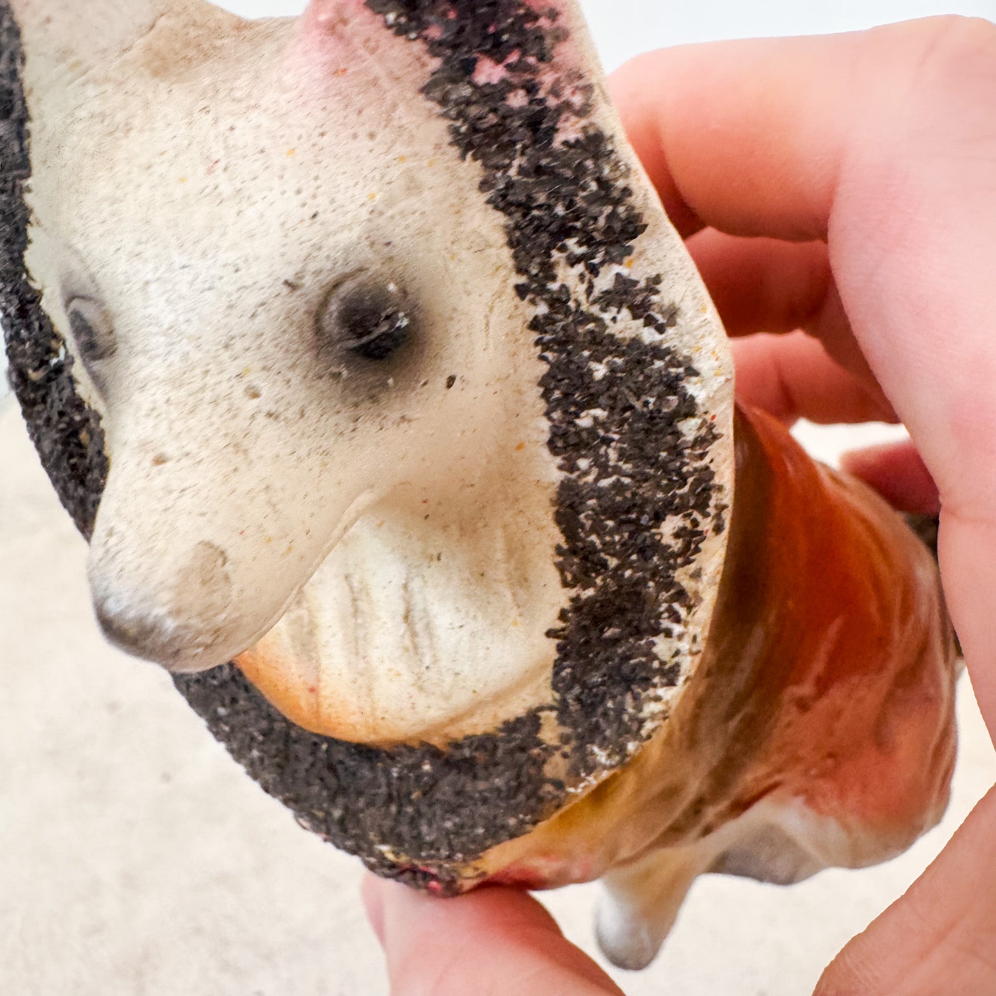 Chalkware Dog Figurine / チョークドックフィギュア