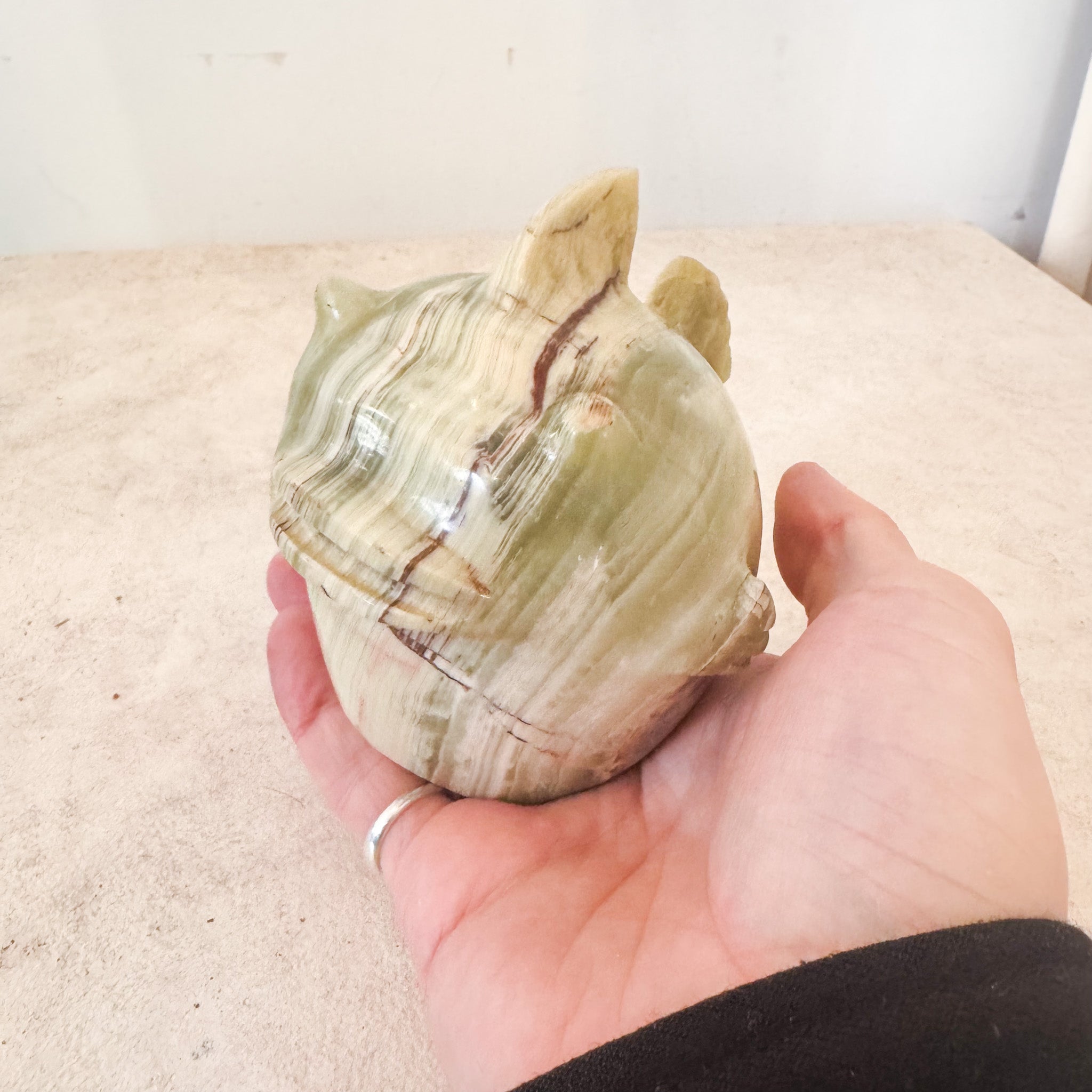 Stone Fish / 石の魚