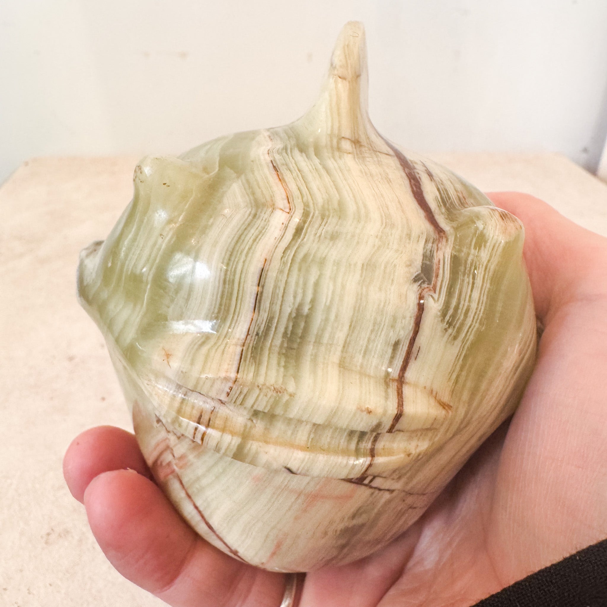 Stone Fish / 石の魚