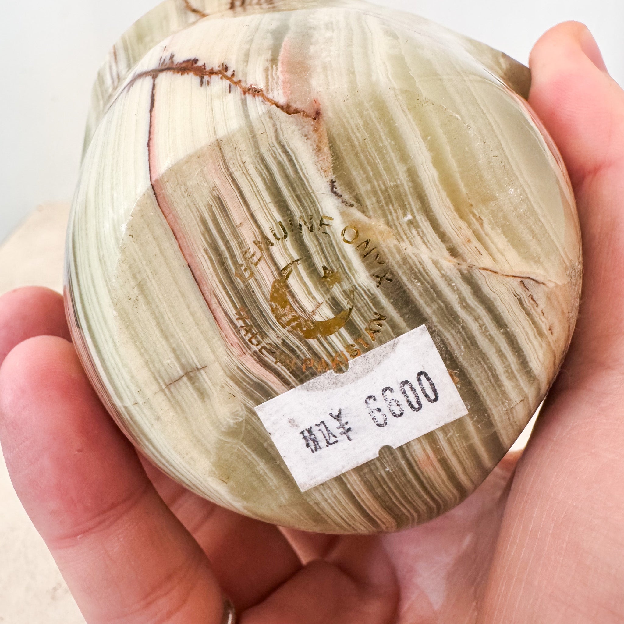 Stone Fish / 石の魚