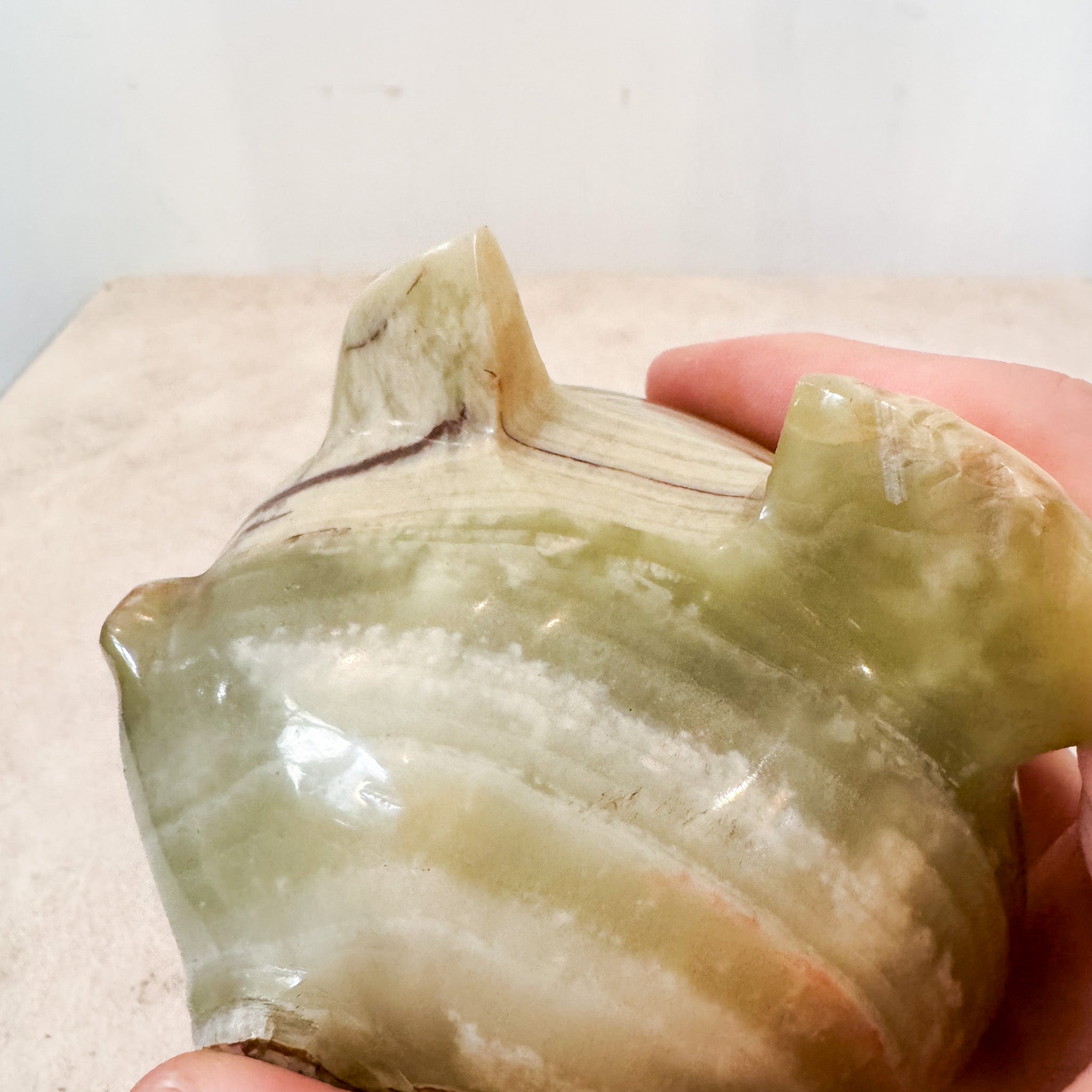 Stone Fish / 石の魚